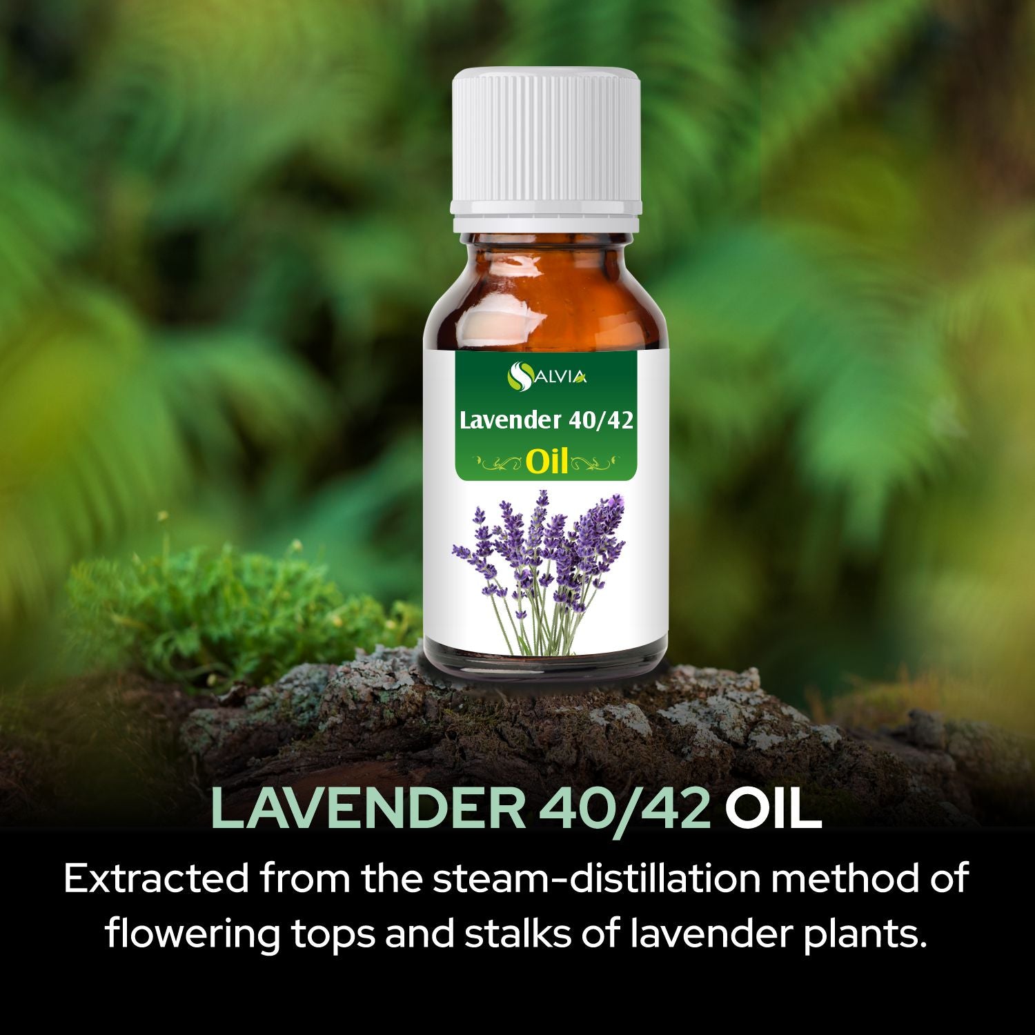 lavender essential oil for plants Lavender 40/42 Oil - External Use Only