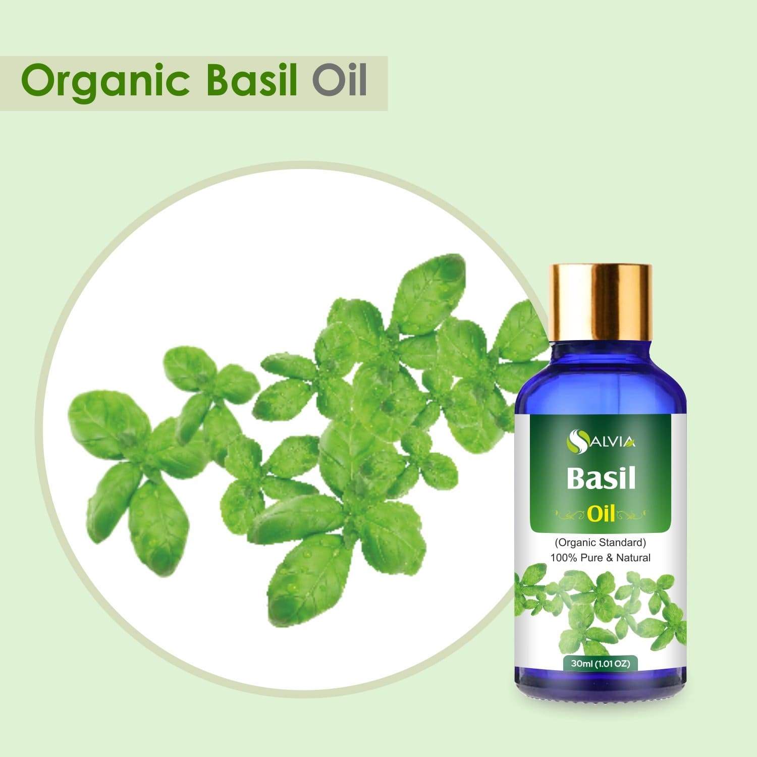 infused basil oil