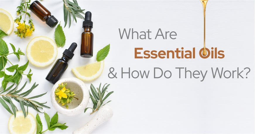 How do essential oils work Science