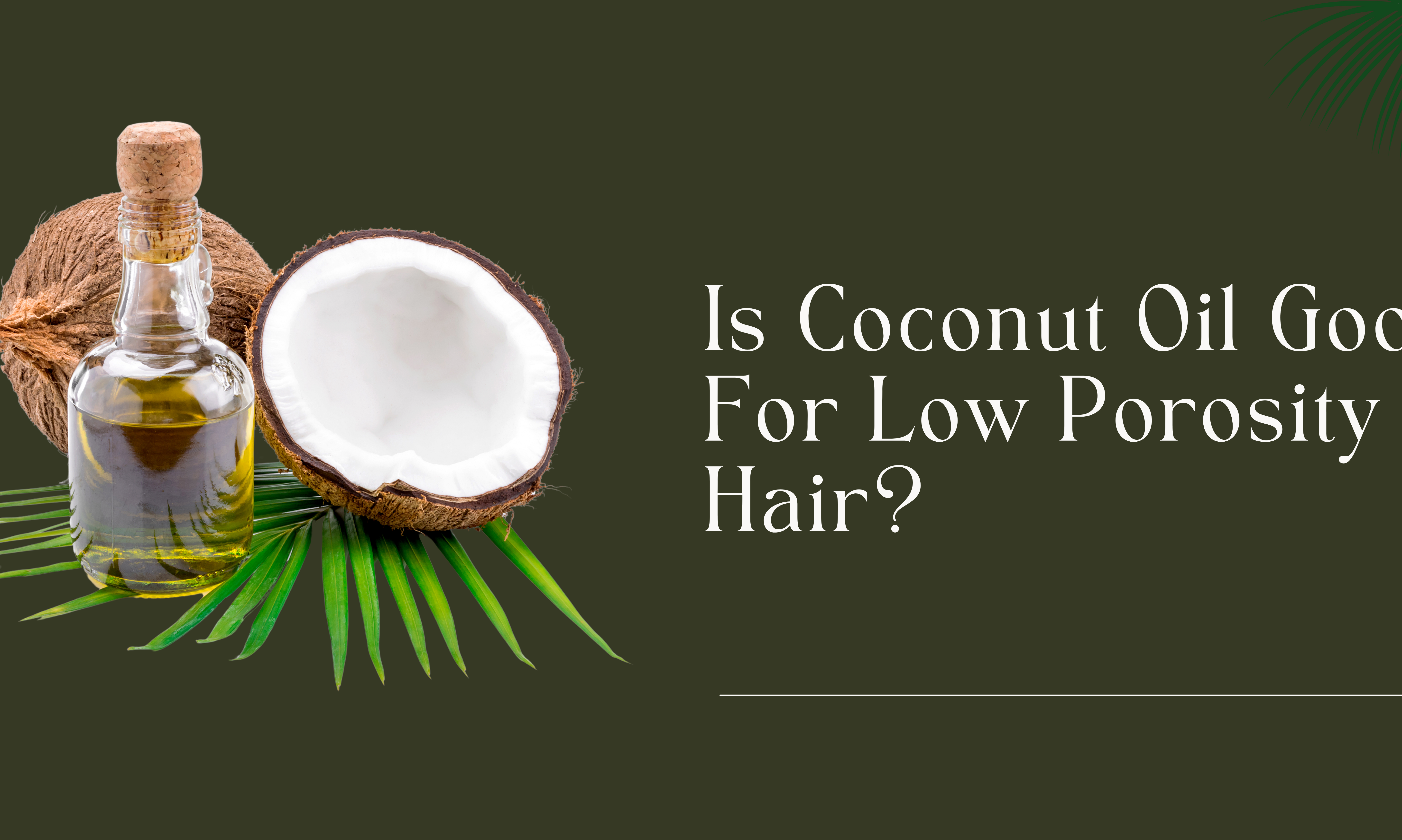 Is coconut oil good for low porosity hair?