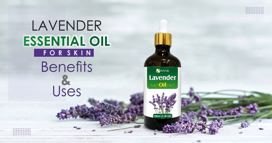 Lavender Essential oil for skin: Benefits & Uses