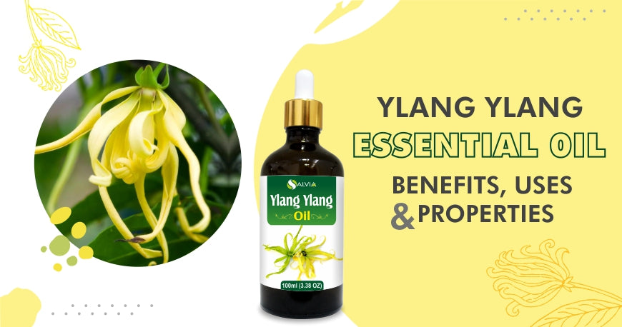 ylang ylang essential oil benefits for skin