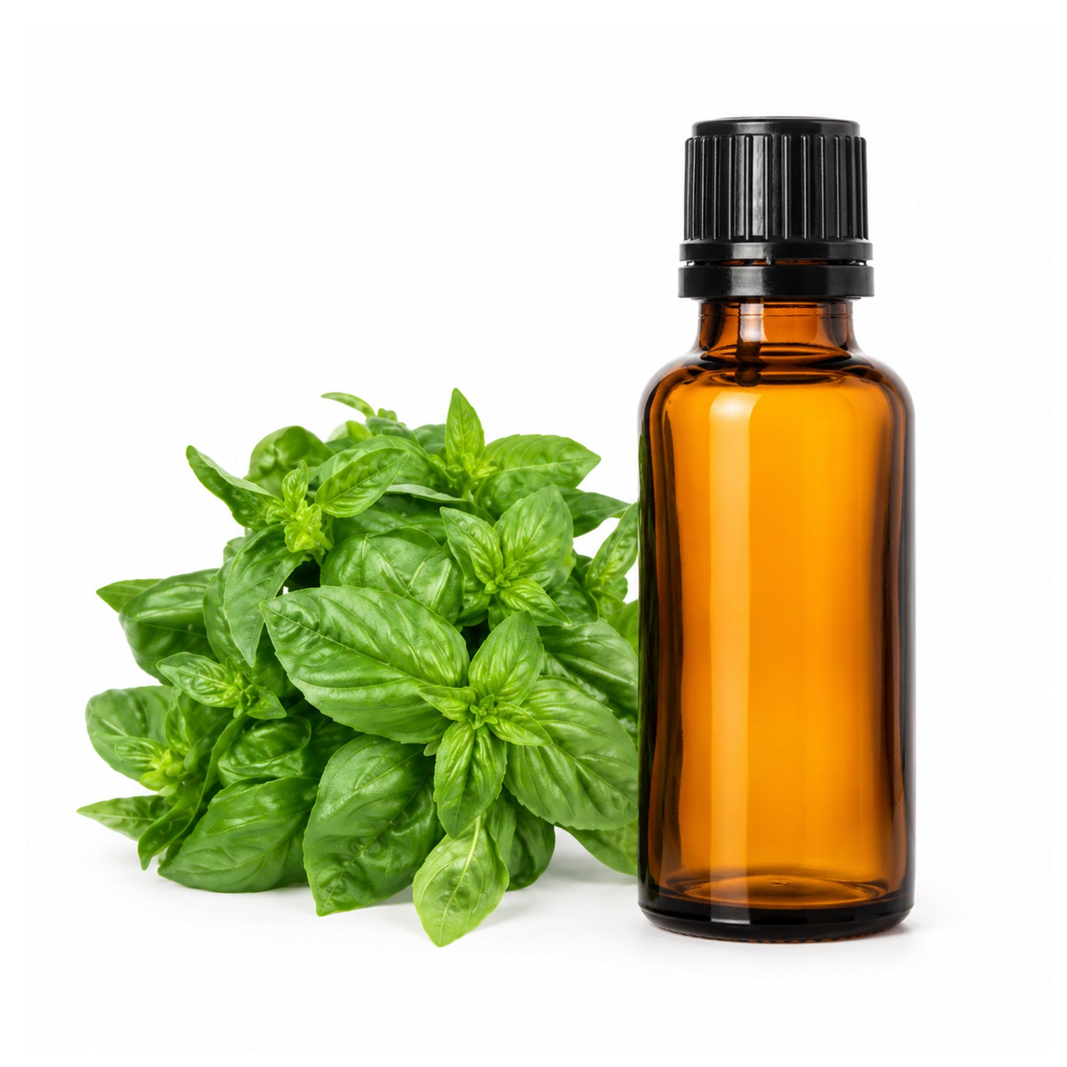 Basil Herbal liquid Extract
