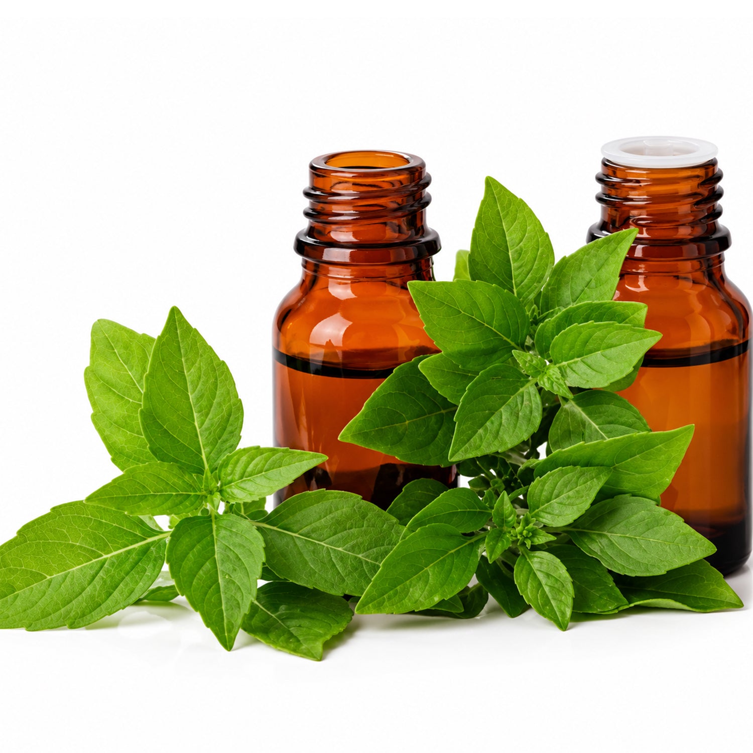 Basil Hydrosol