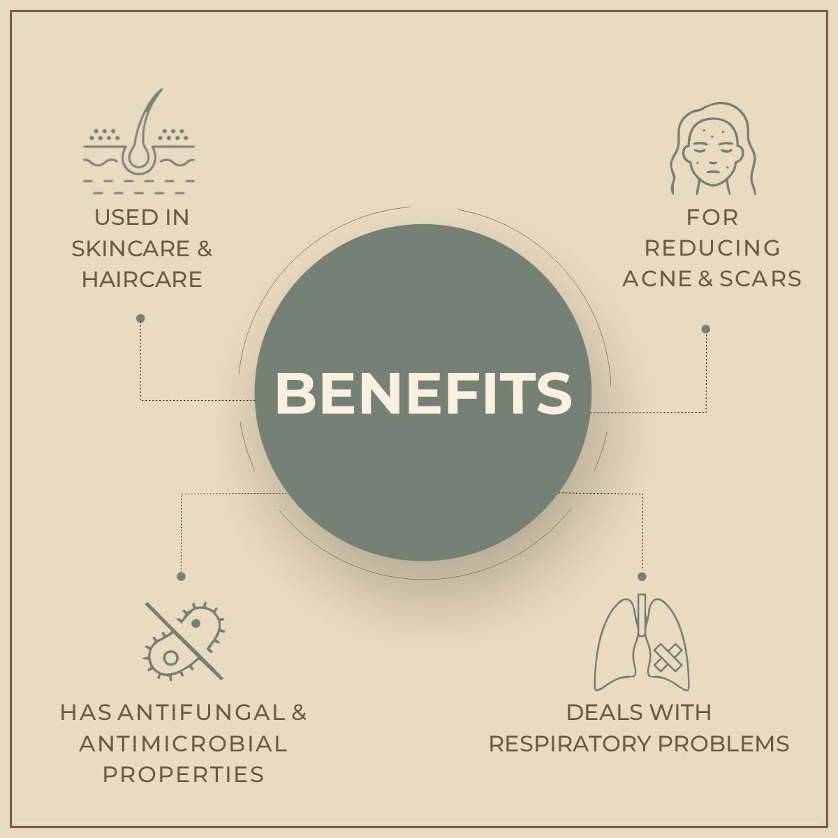 Skincare and Haircare with Eucalyptus Oil