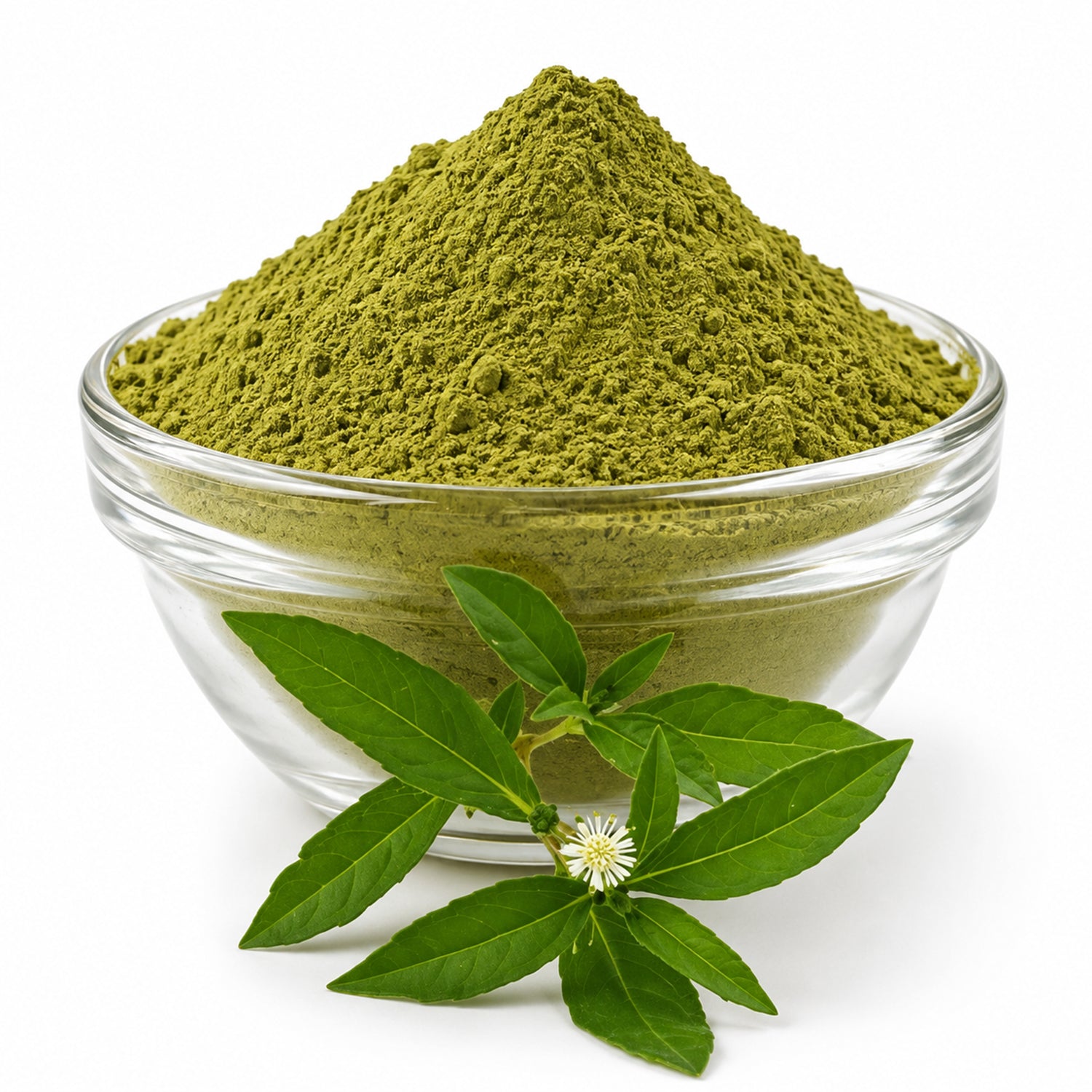 Bhringraj Dry Extract