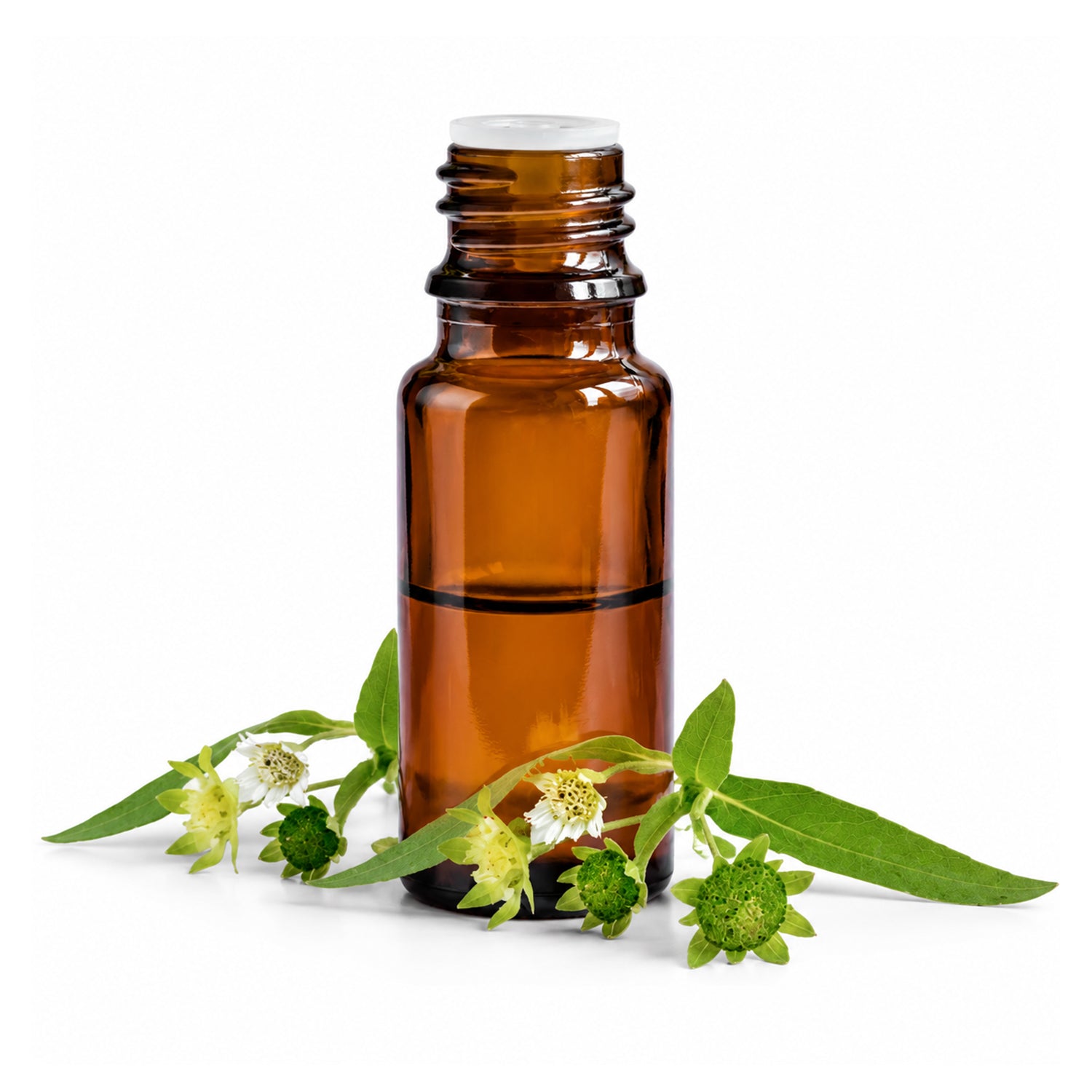 Bhringraj Herbal liquid Extract