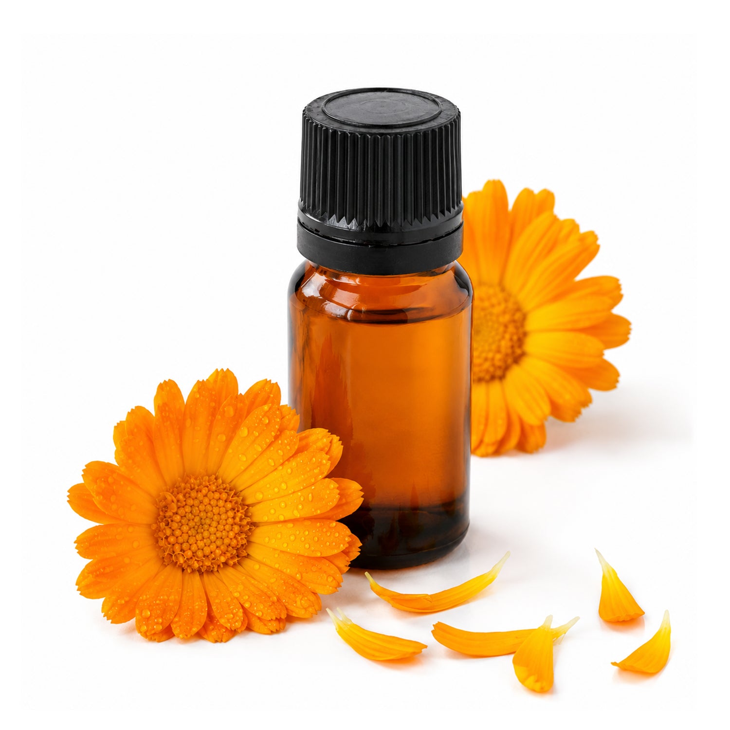 Calendula Herbal Liquid Extract