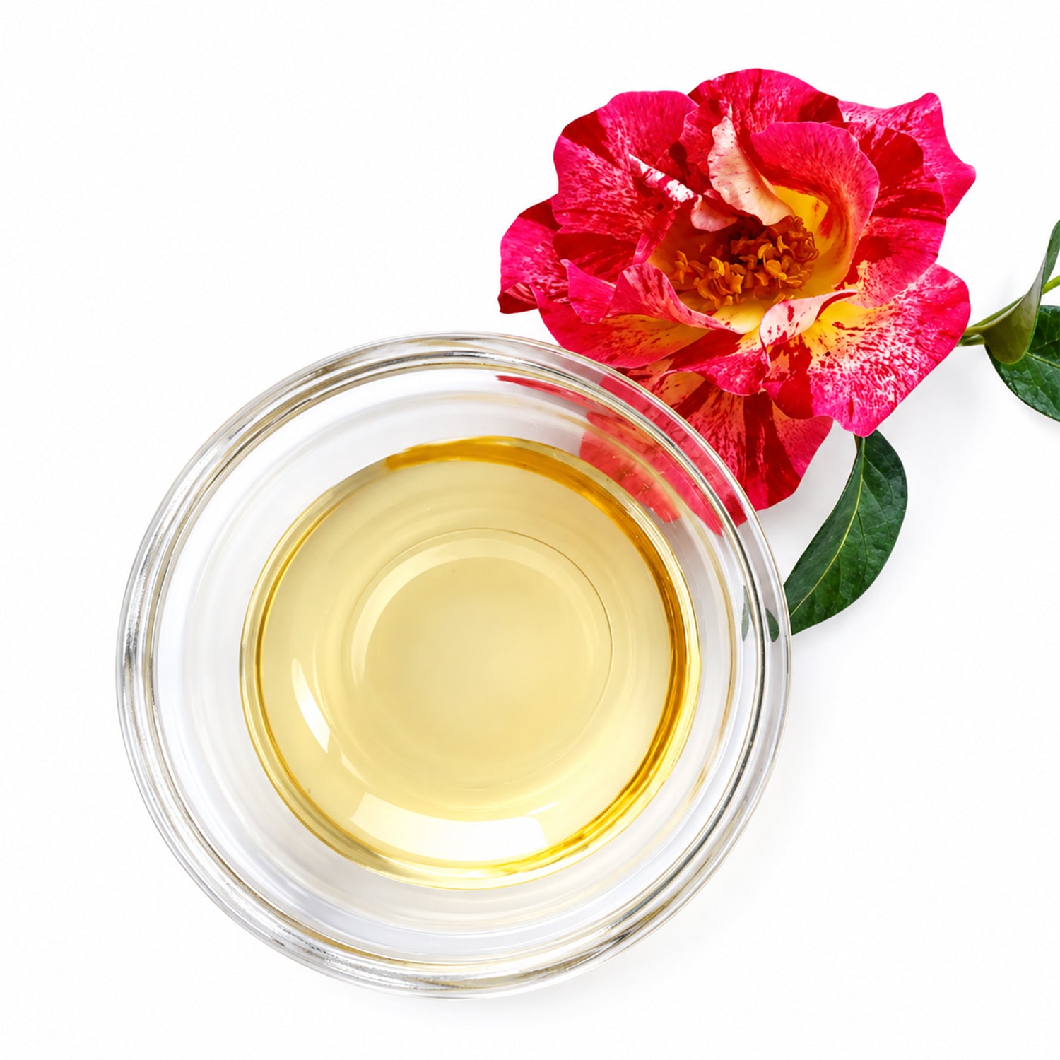 Camellia Hydrosols