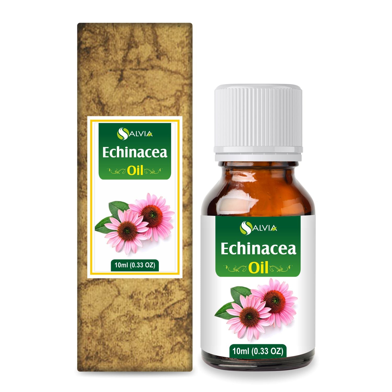 Echinacea Oil
