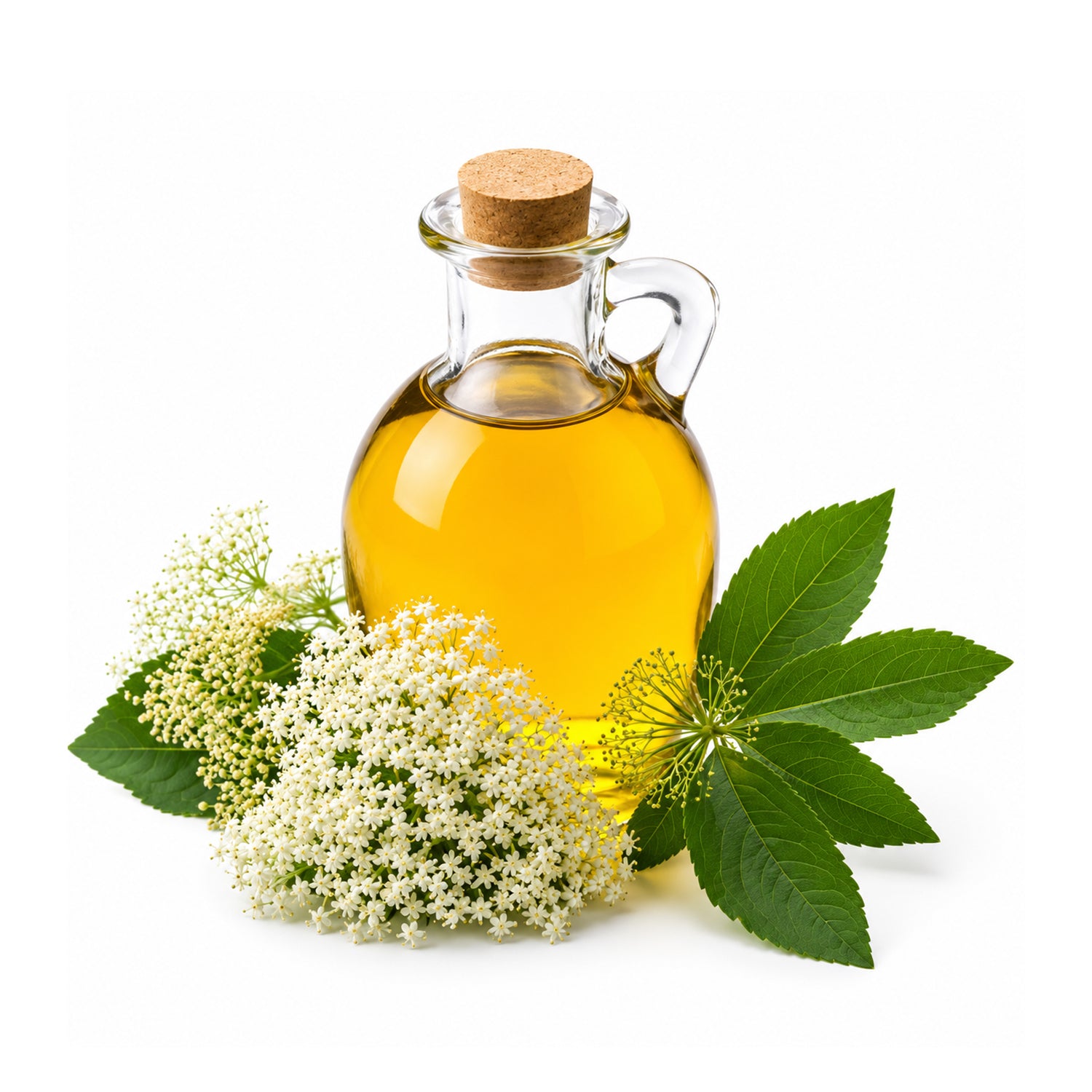 Elder Flower Herbal Liquid Extract