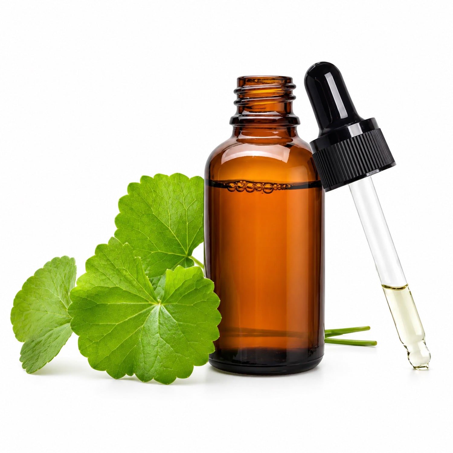 Gotu Kola Herbal Liquid Extract