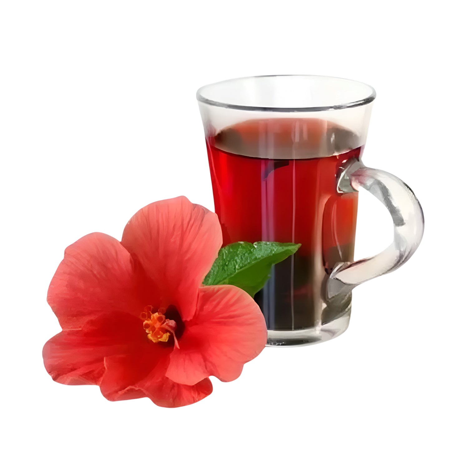 Hibiscus Herbal Liquid Extract