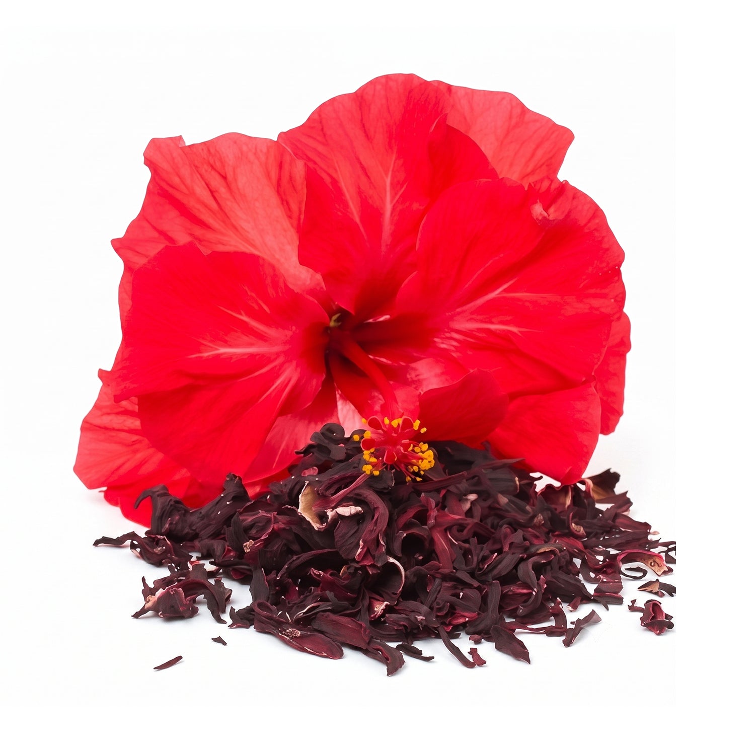 Hibiscus Petals Dry Flower