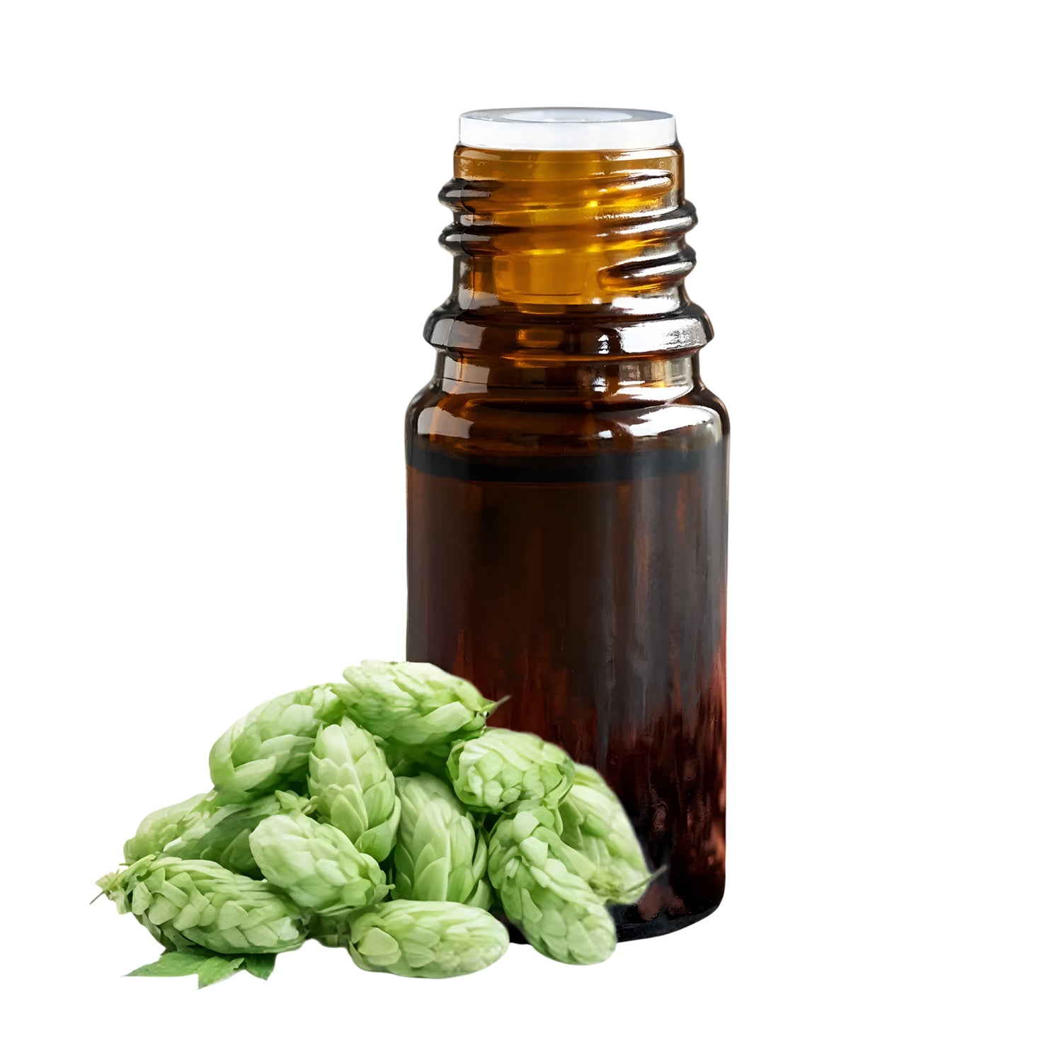 Hops Herbal Liquid Extract