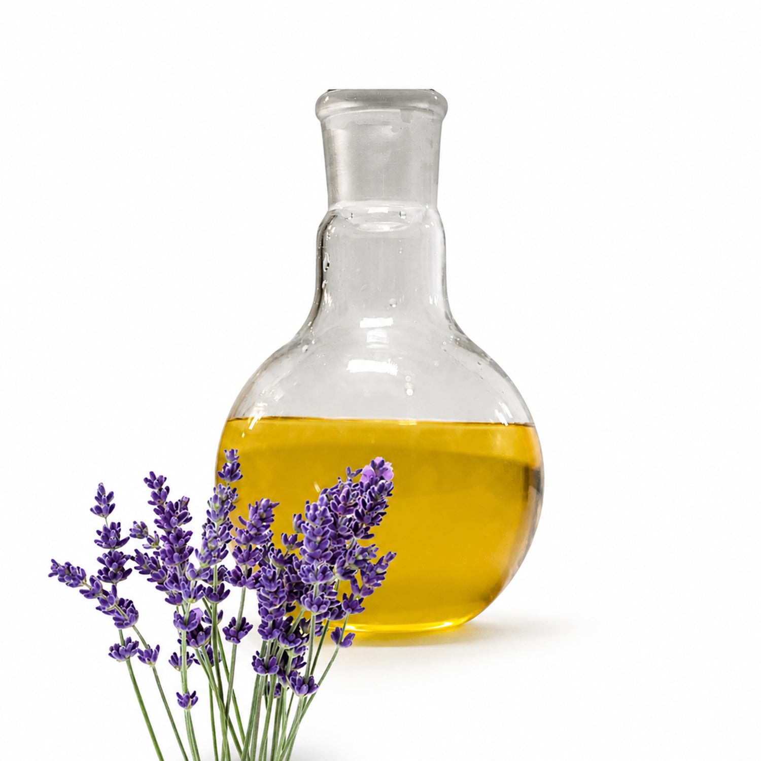 Lavender Herbal Liquid Extract