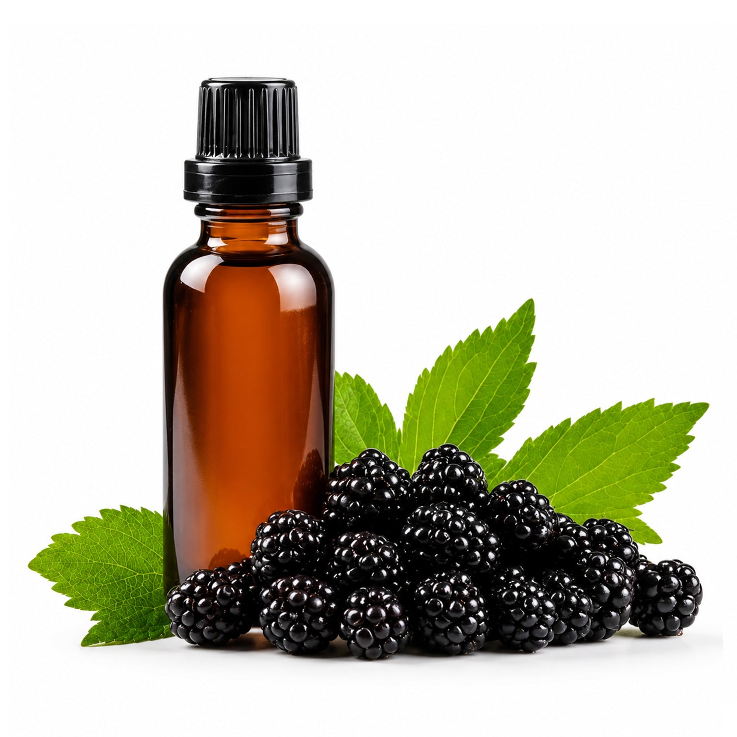 Mullberry Herbal Liquid Extract