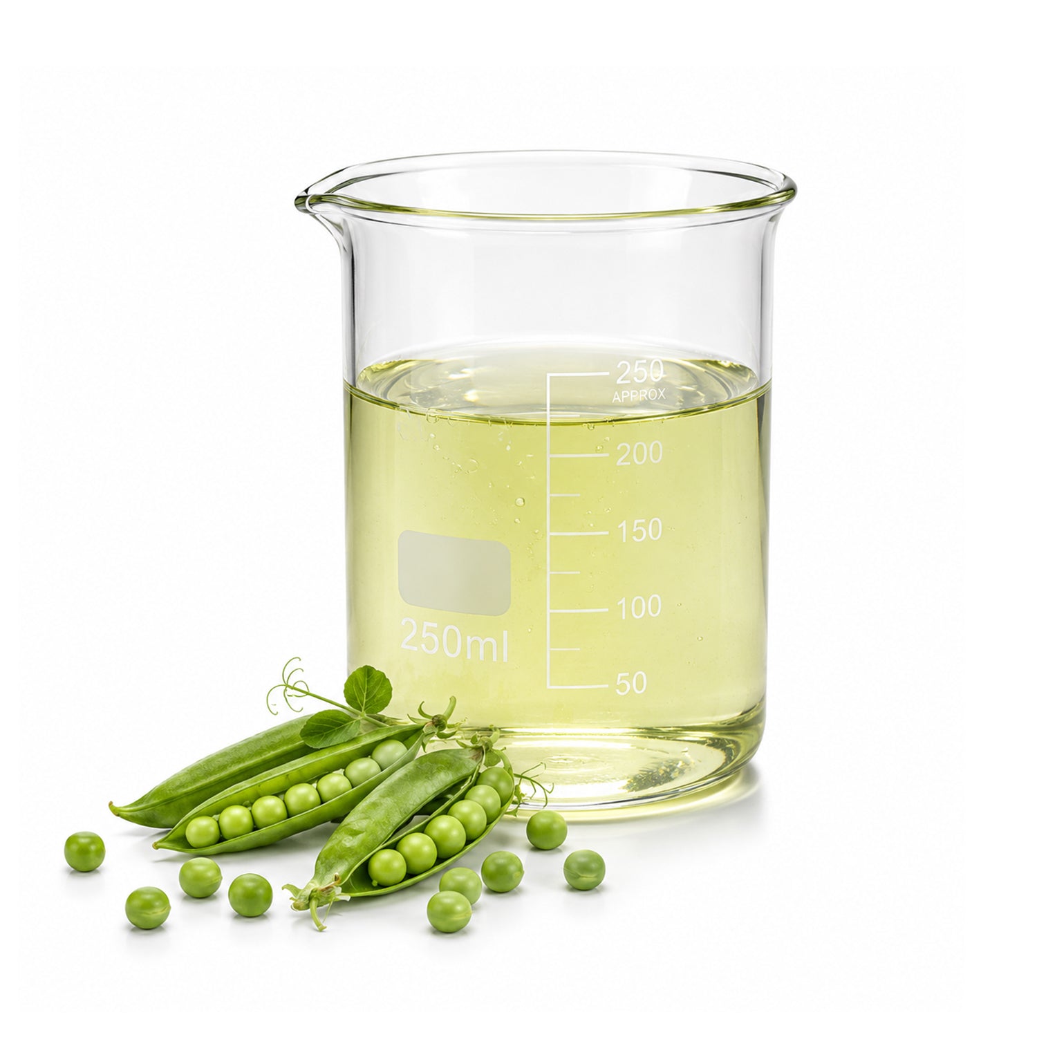Pea Herbal Liquid Extract
