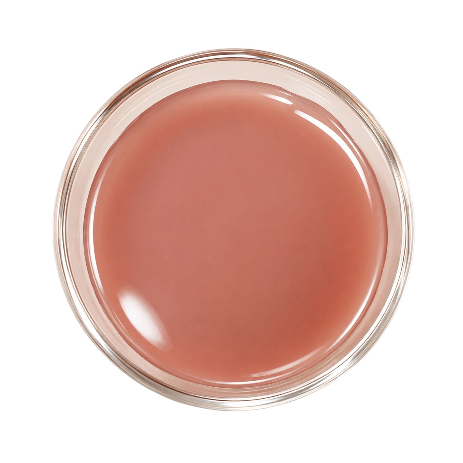 Red Algae Herbal Liquid Extract