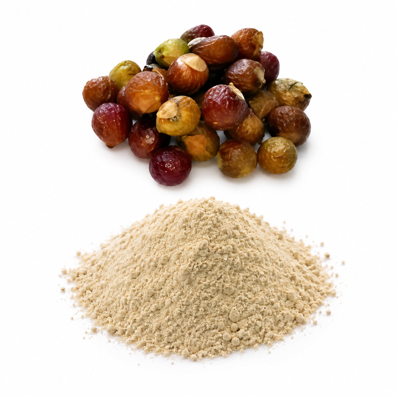 Ritha Dry Extract