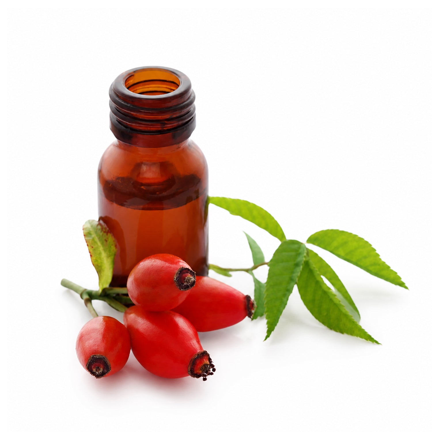 Rosehip Herbal Liquid Extract