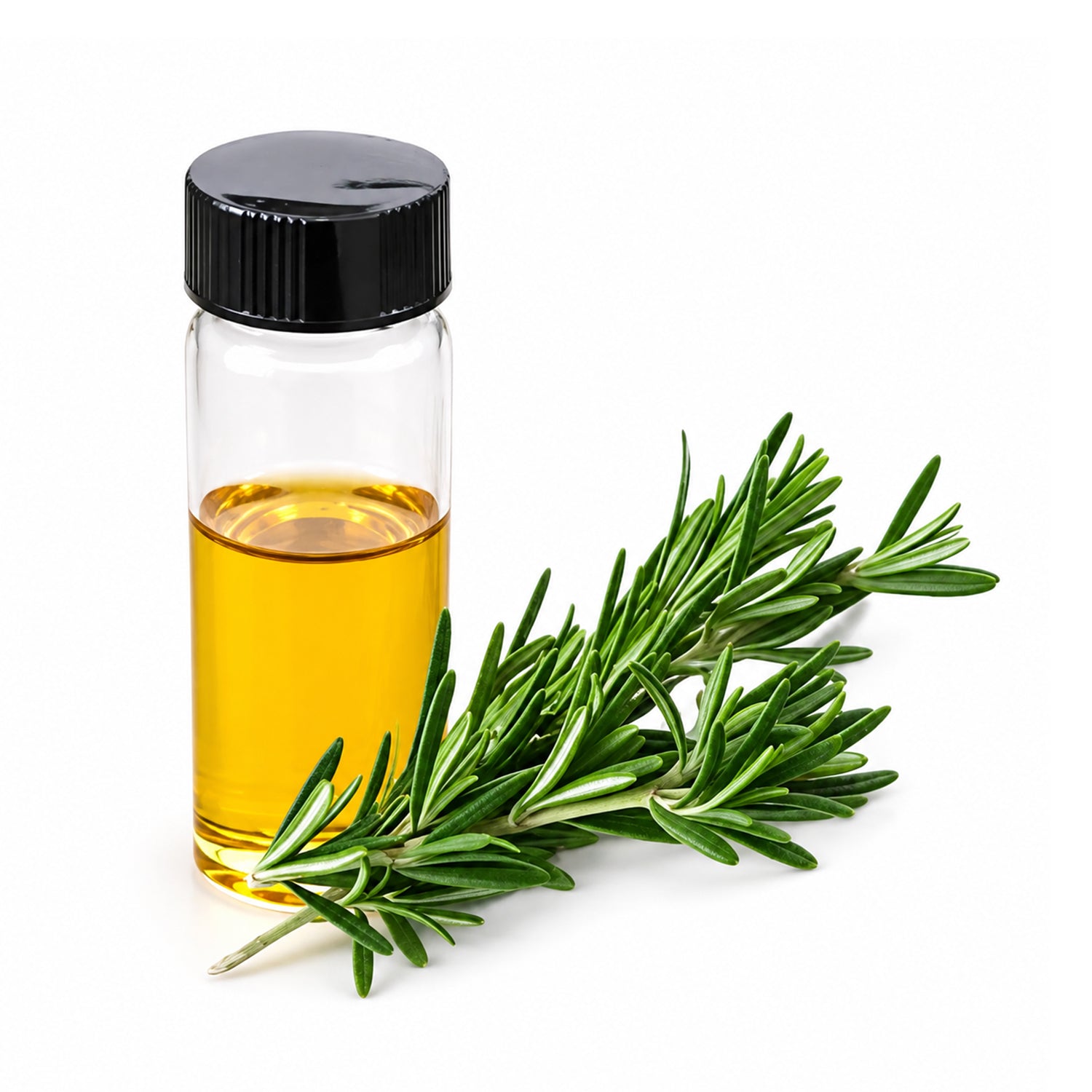 Rosemary Herbal Liquid Extract