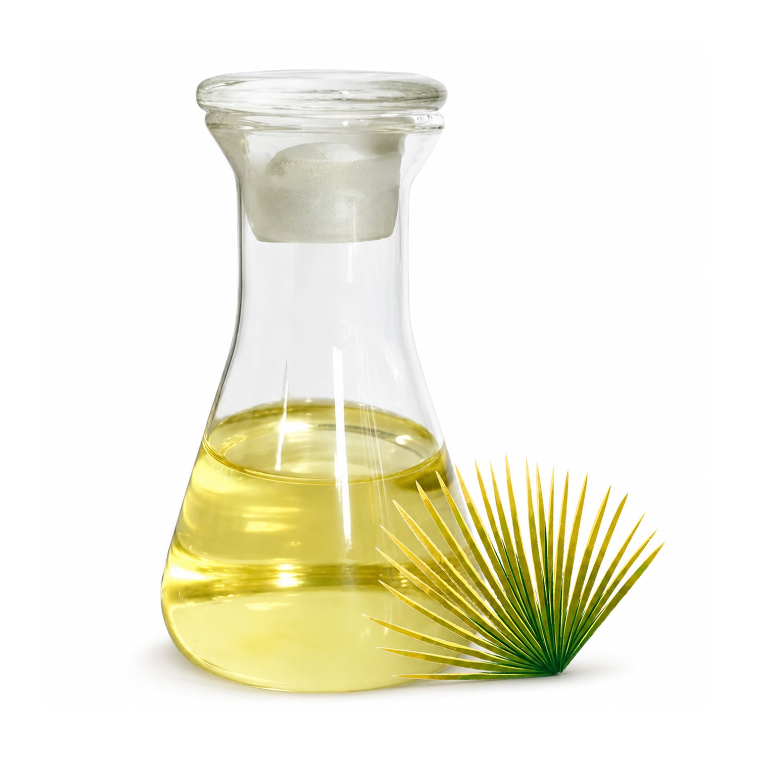 Saw Palmetto Herbal Liquid Extract