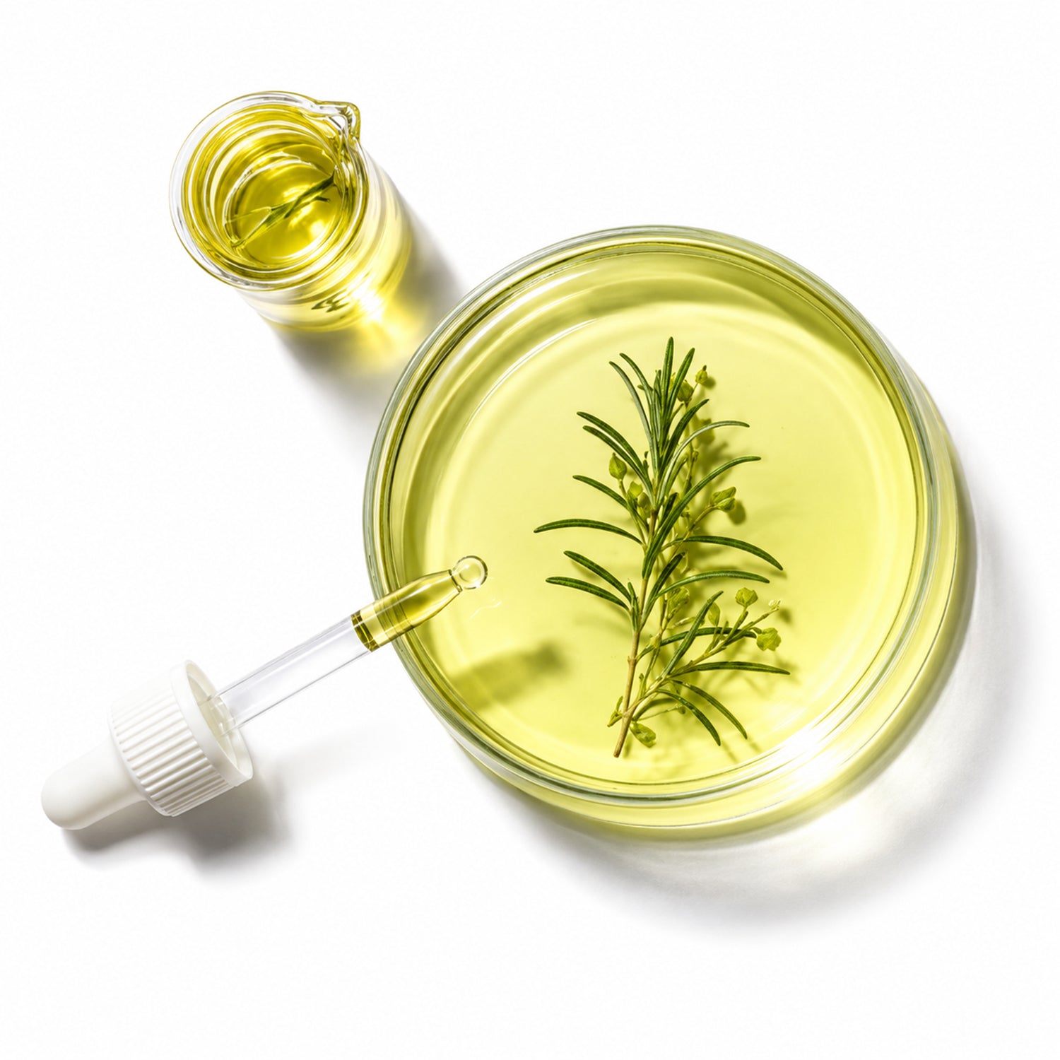 Tea Herbal Liquid Extract
