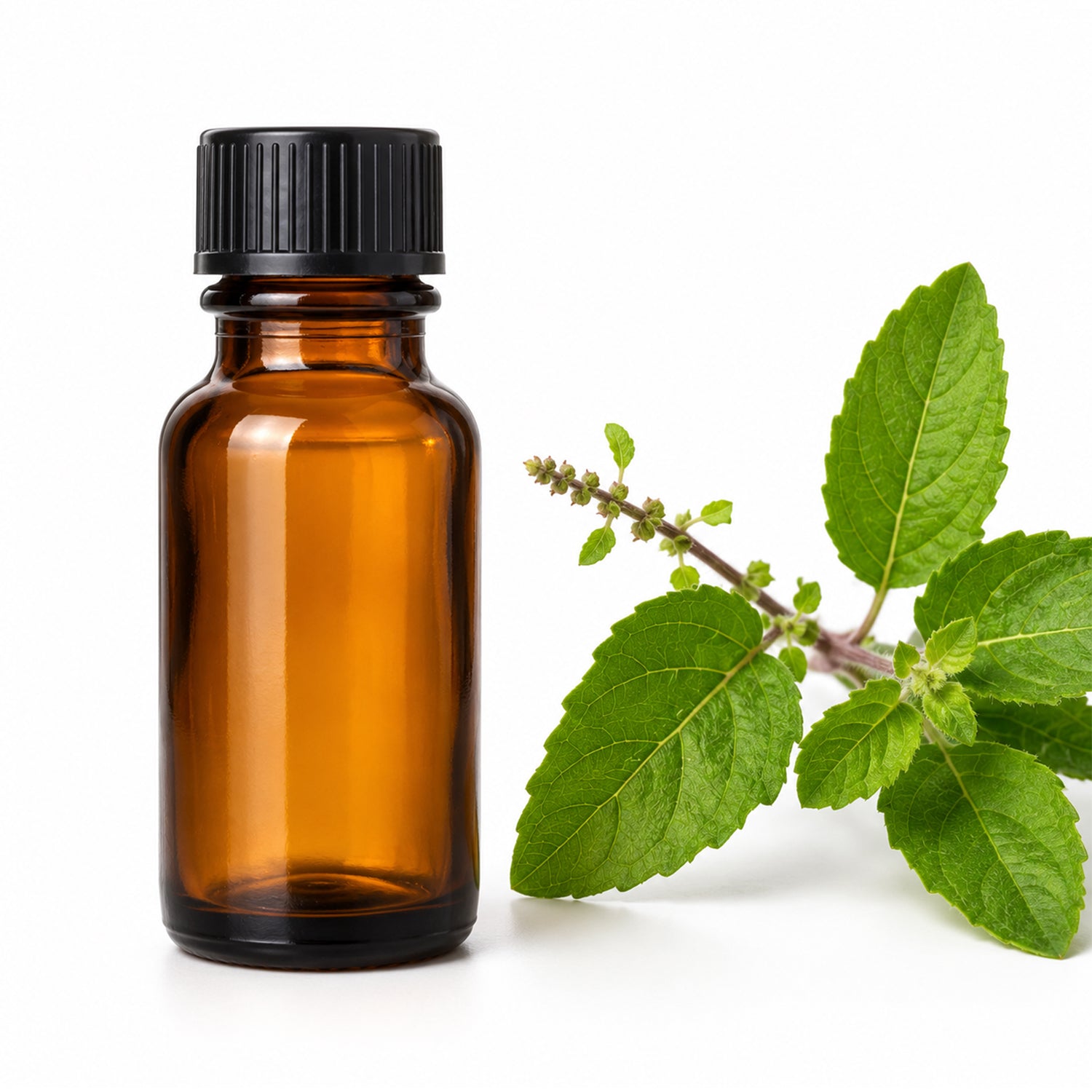 Tulsi Herbal Liquid Extract