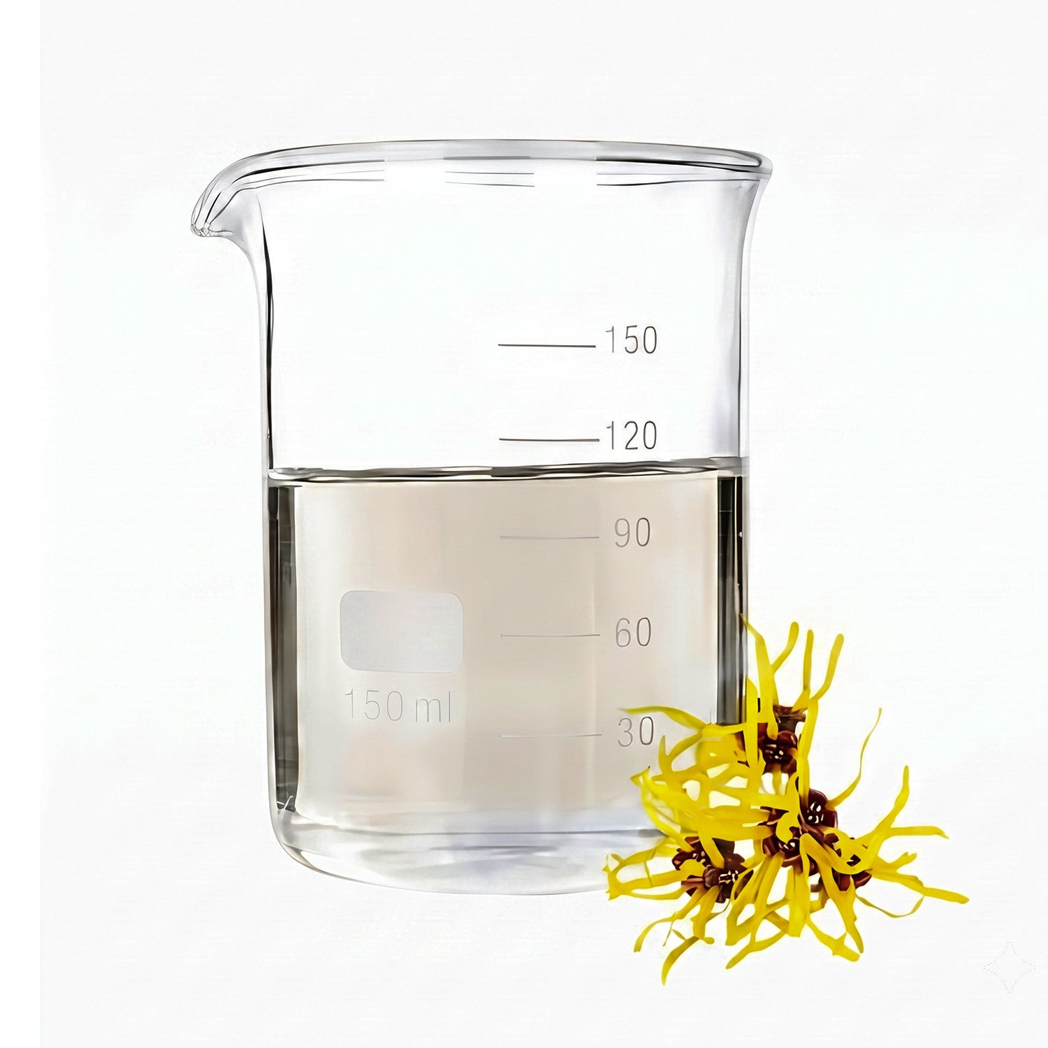 Witch Hazel Herbal Liquid Extract