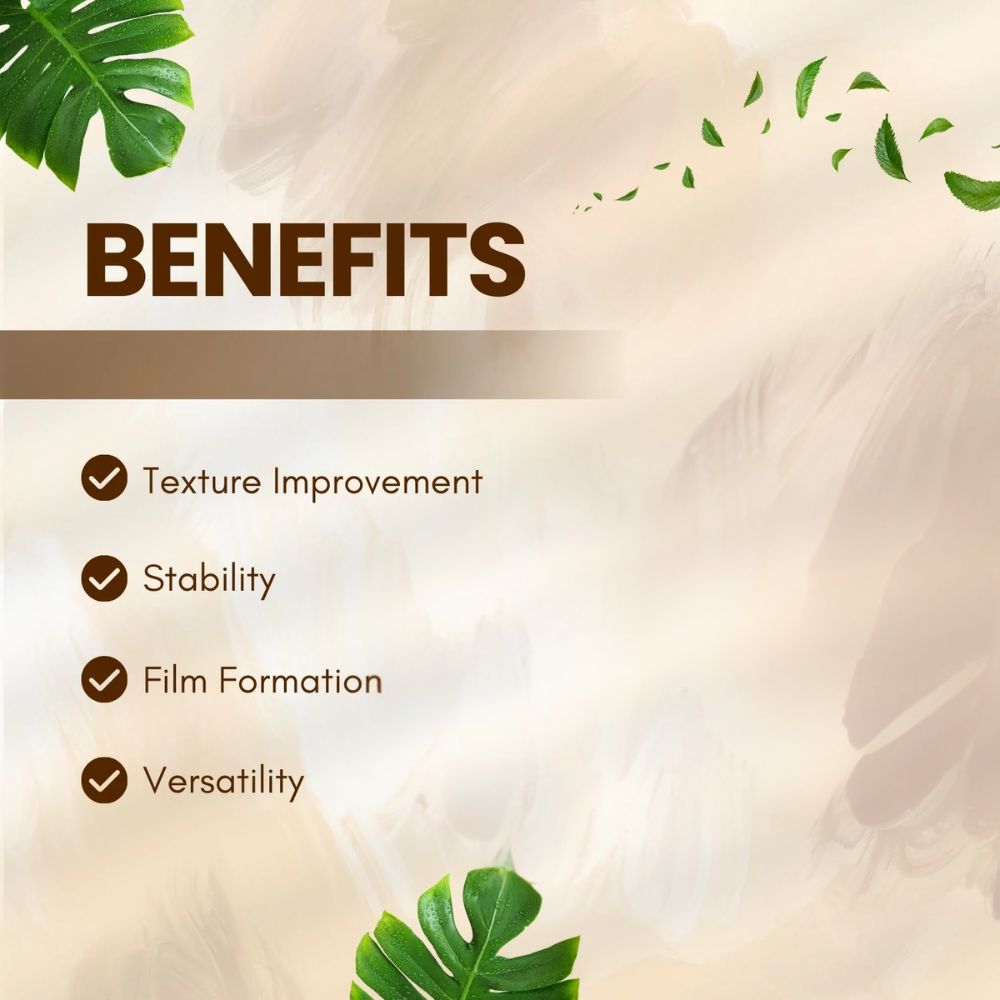 Salvia Cosmetic Raw Material Acrylate Copolymer Powder