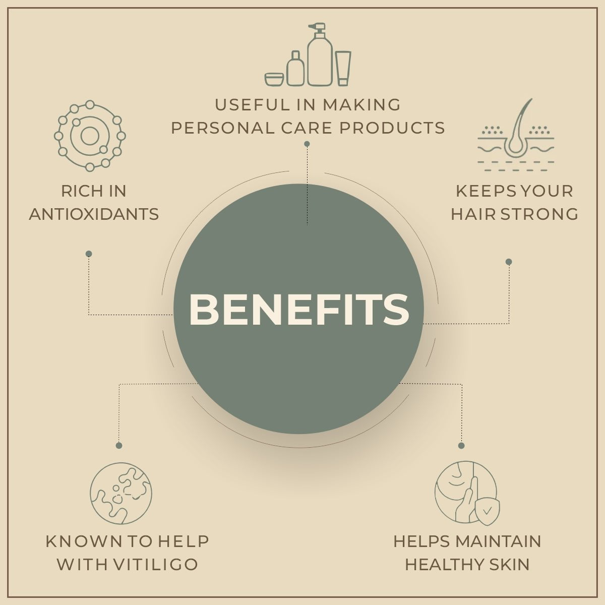 Benefits of Babchi Oil 