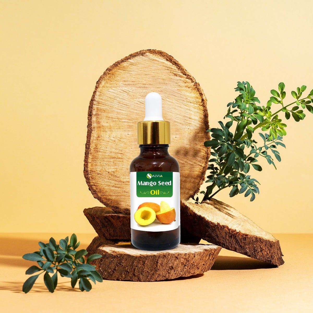 Salvia Natural Carrier Oils Mango Seed Oil