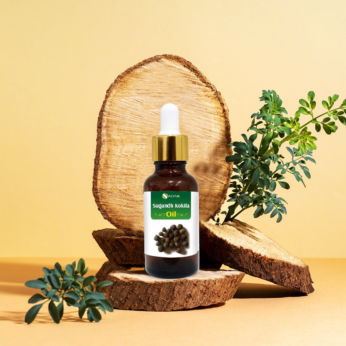 Salvia Natural Carrier Oils Sugandha Kokila Oil