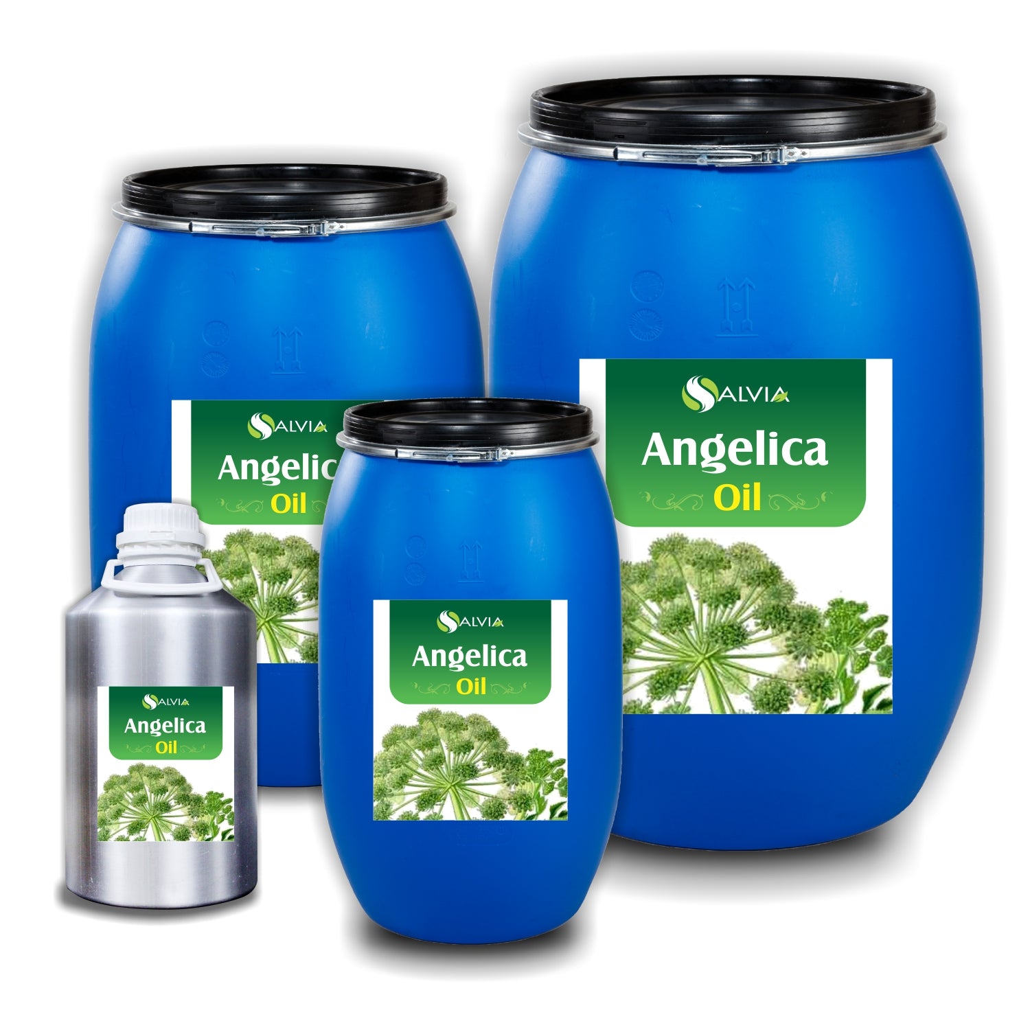 Salvia Natural Essential Oils 10kg Angelica Essential Oil, 100% Pure & Natural