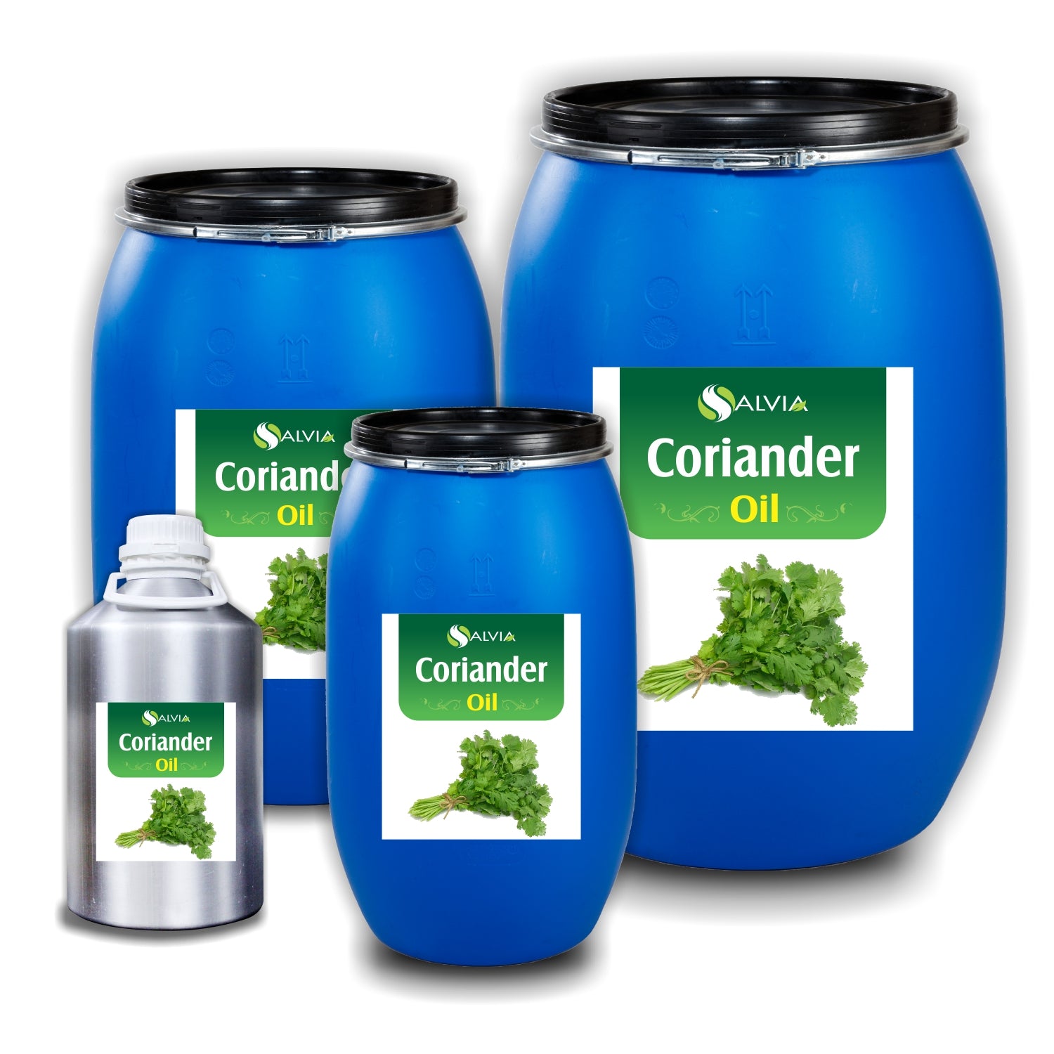 Salvia Natural Essential Oils 10kg Coriander Essential Oil