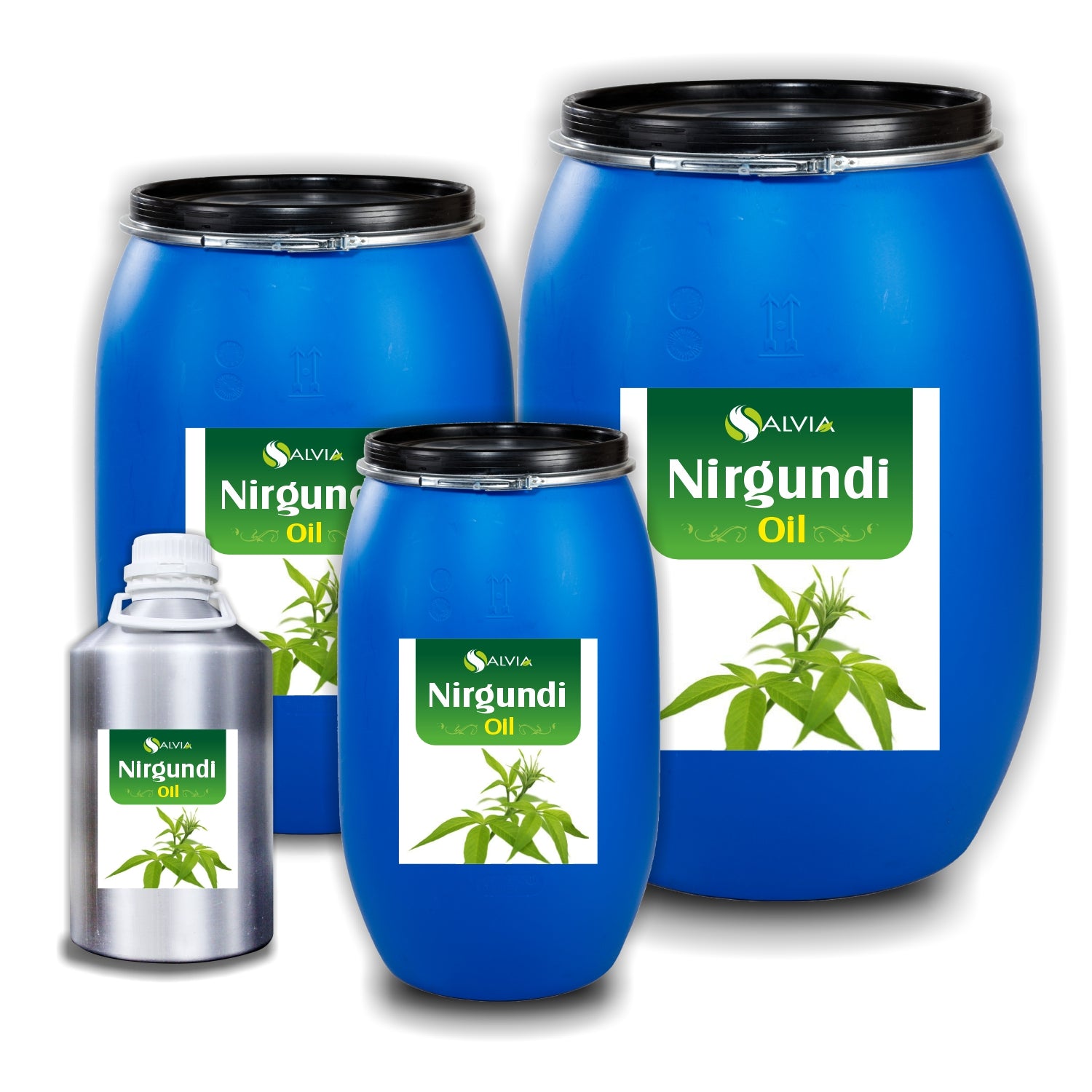 Salvia Natural Essential Oils 10kg Nirgundi Essential Oil