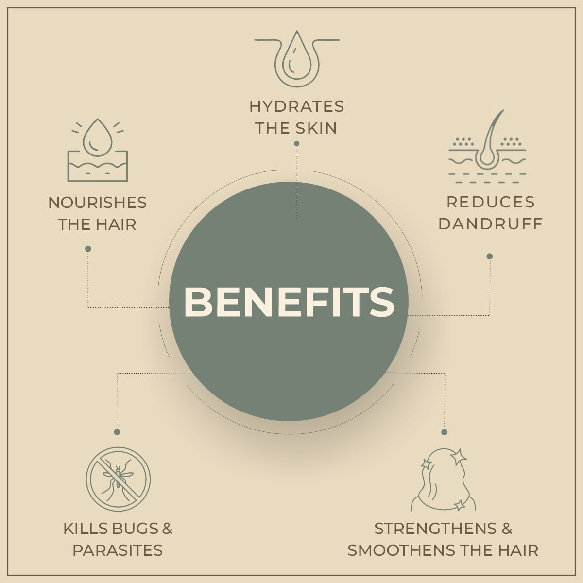 Salvia Natural Essential Oils Ajwain Oil