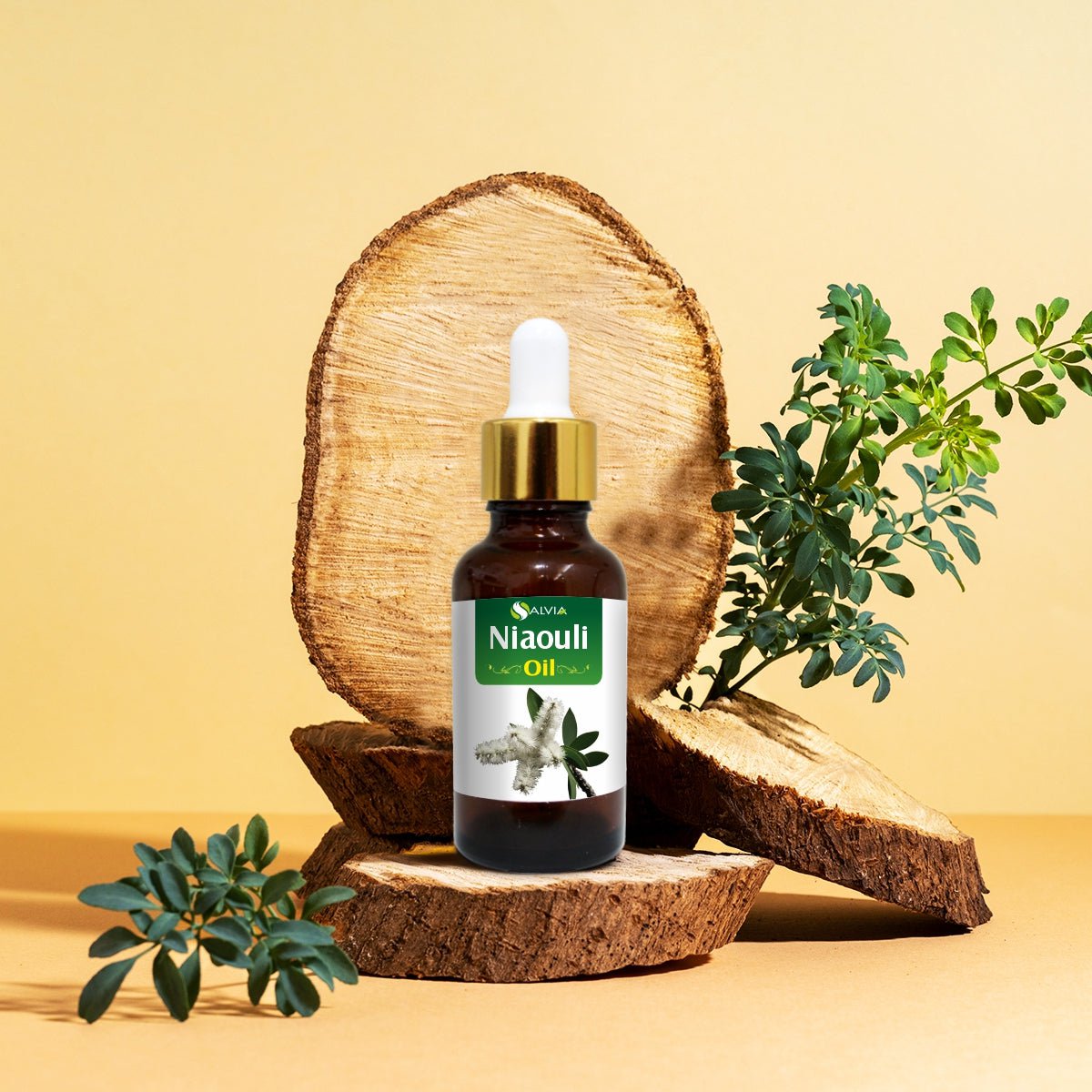 Salvia Natural Essential Oils Niaouli Oil (Melaleuca Quinquenervia) Pure Essential Oil