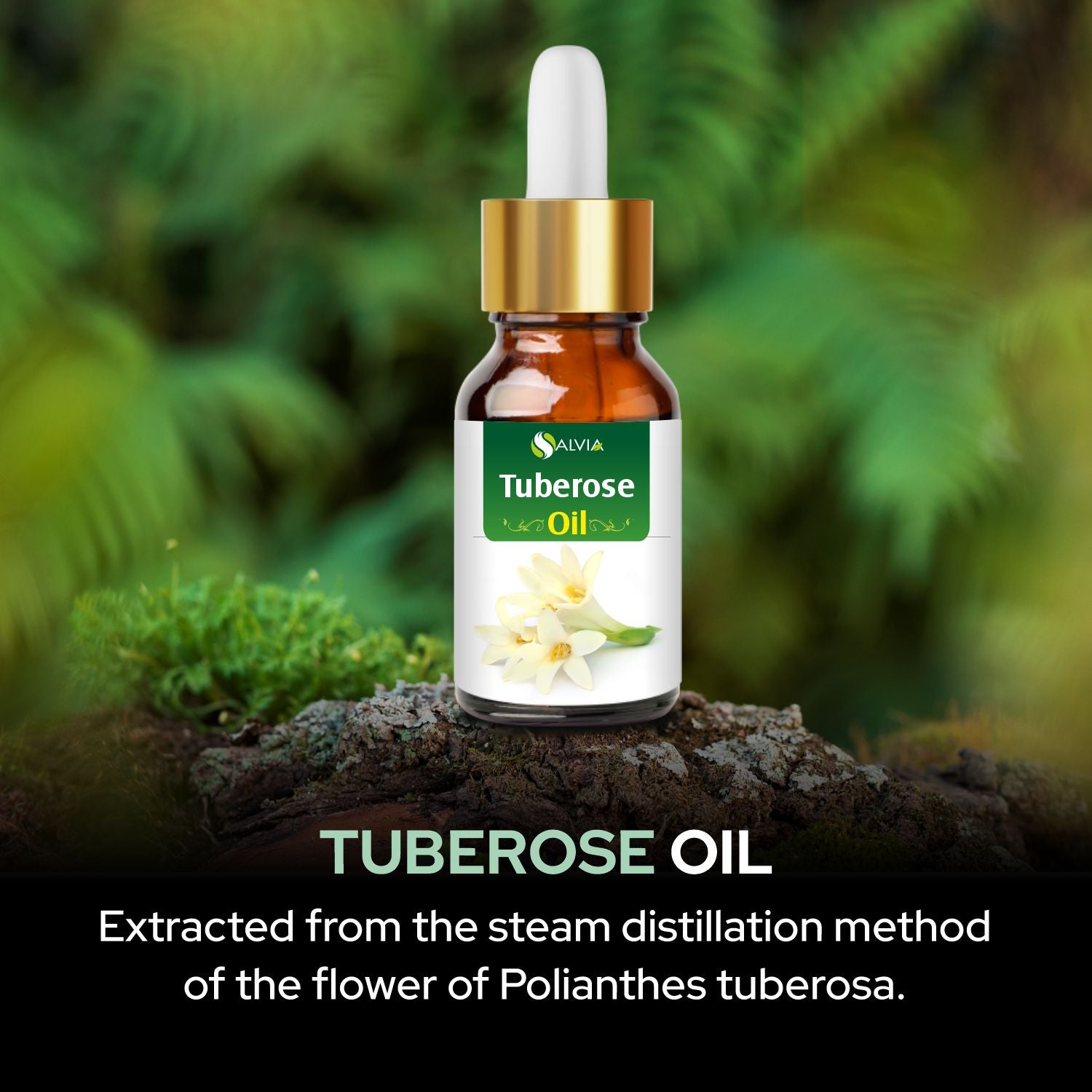Salvia Natural Essential Oils Tuberose Oil