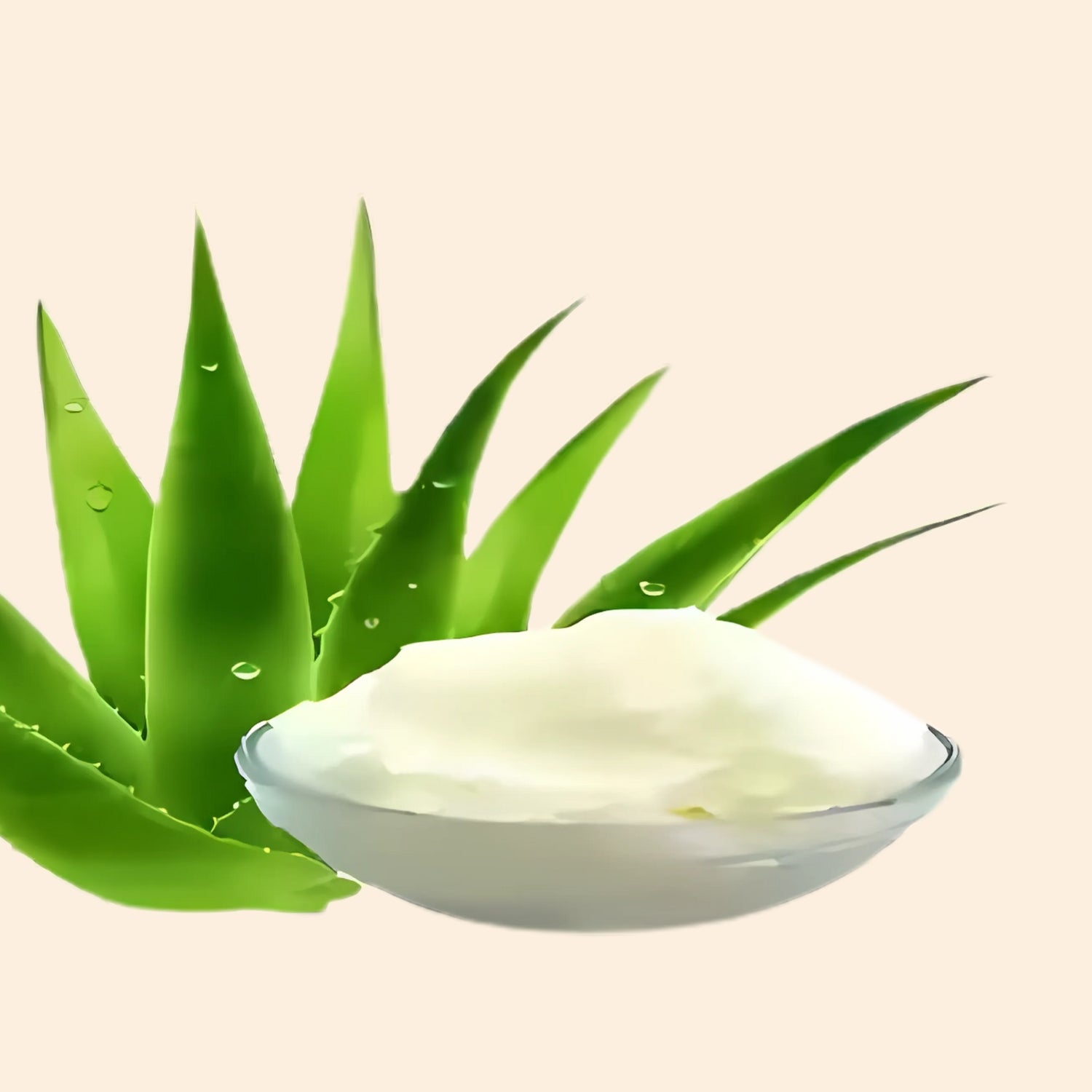 Shoprythm Cosmetic Butters Aloe vera Butter