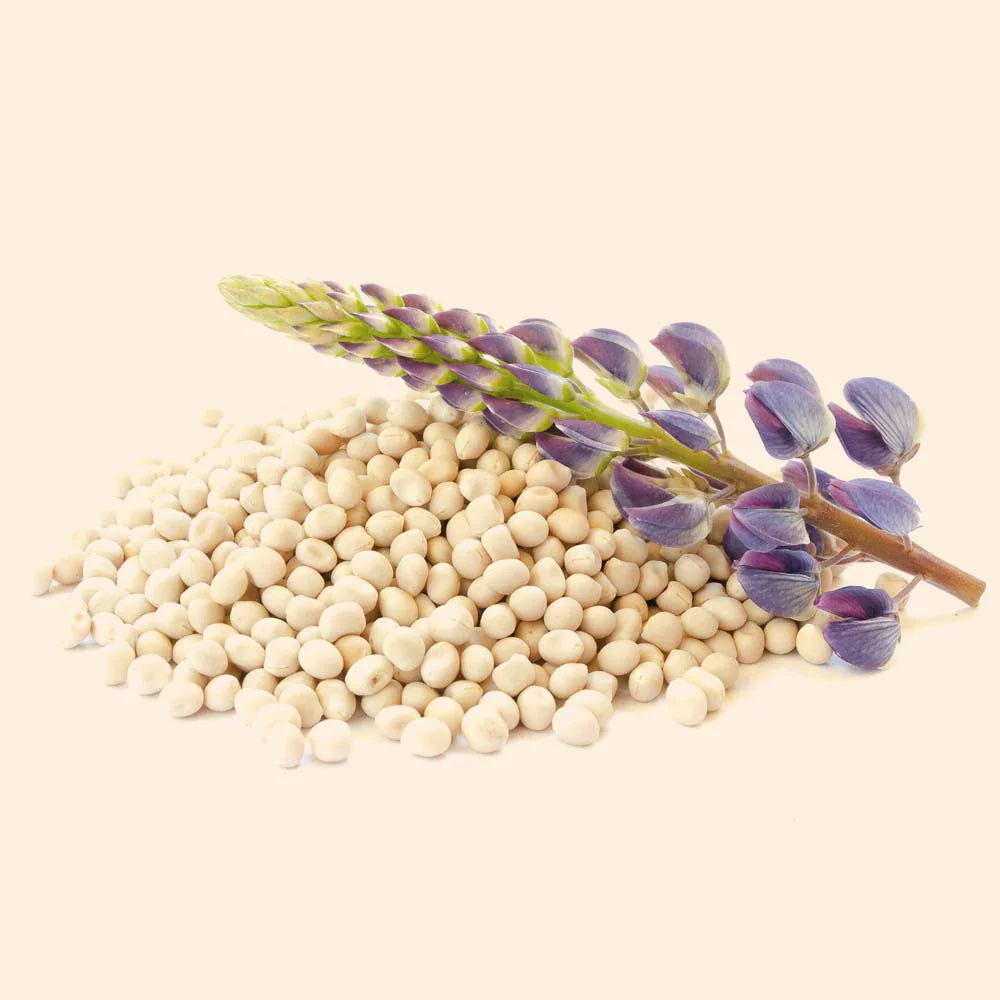 Shoprythm Cosmetic Raw Material Hydrolyzed Lupine Protein