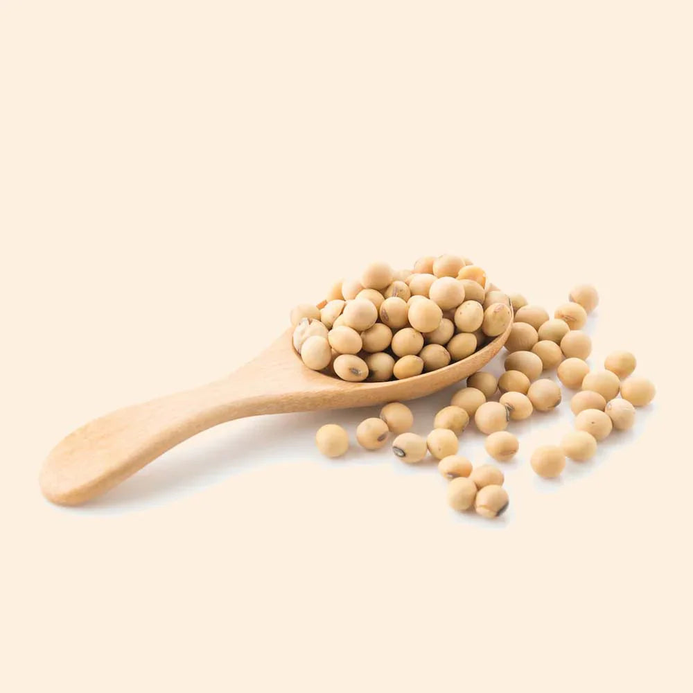 Shoprythm Cosmetic Raw Material Hydrolyzed Pea Protein