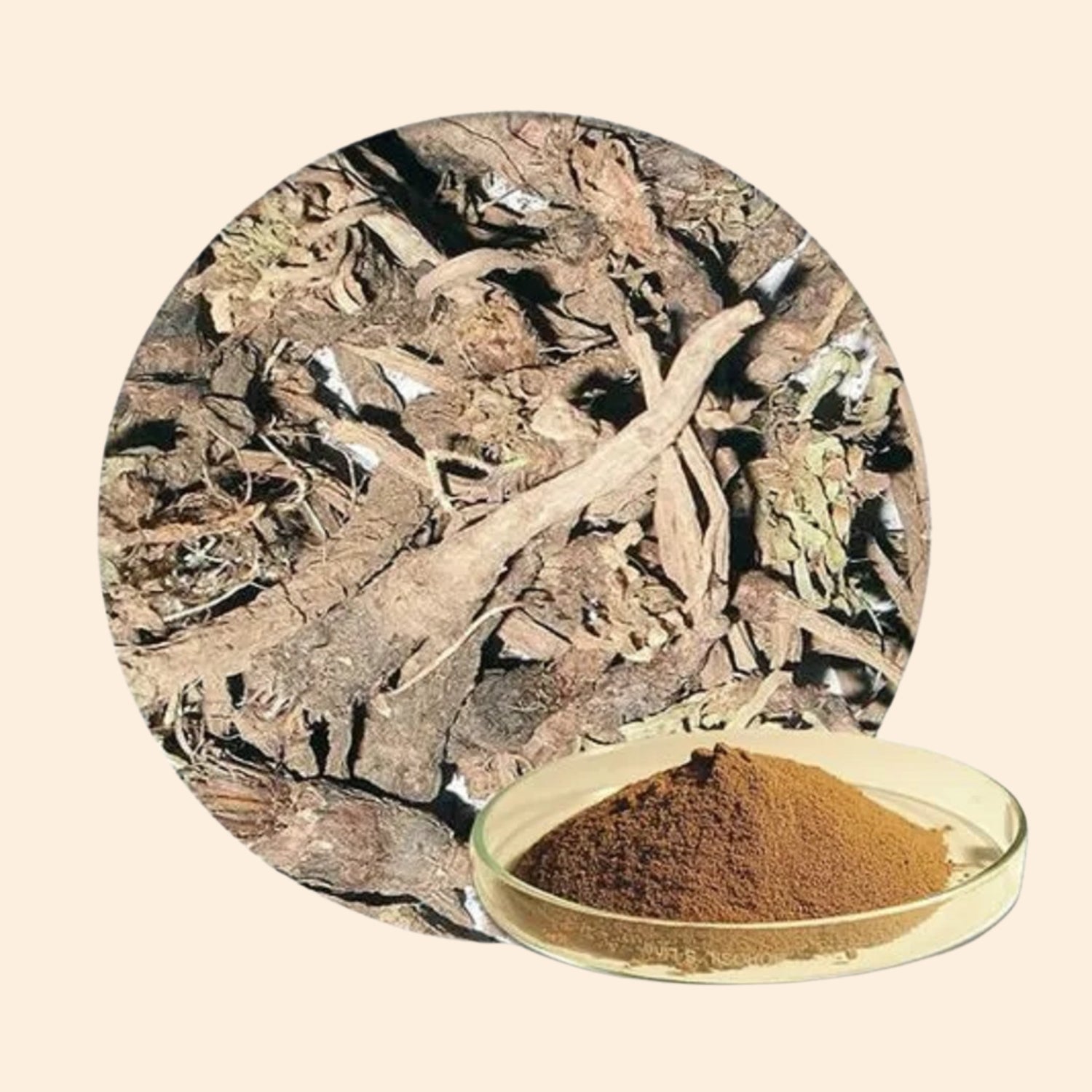 Shoprythm Dry Extracts Akarkara Dry Extract