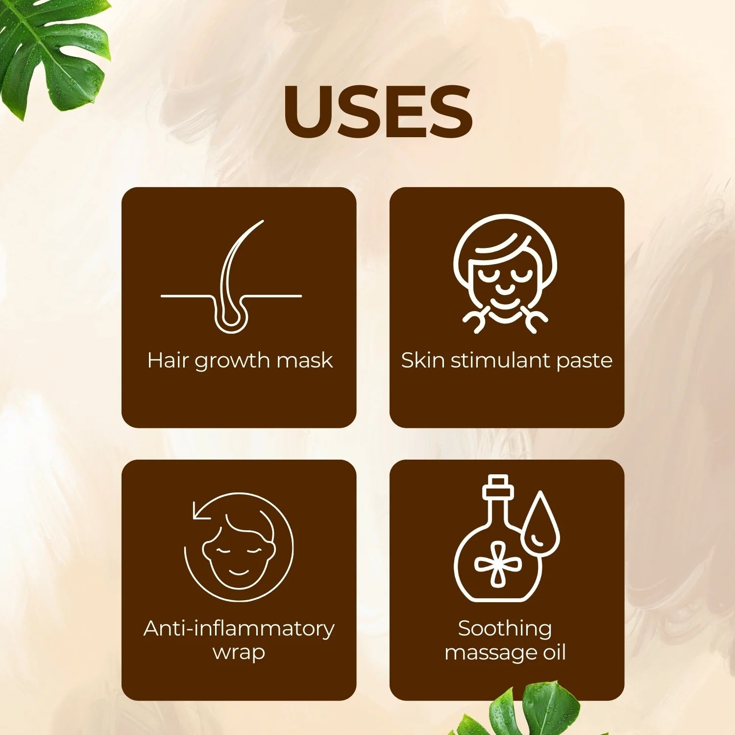 Shoprythm Dry Extracts Akarkara Dry Extract