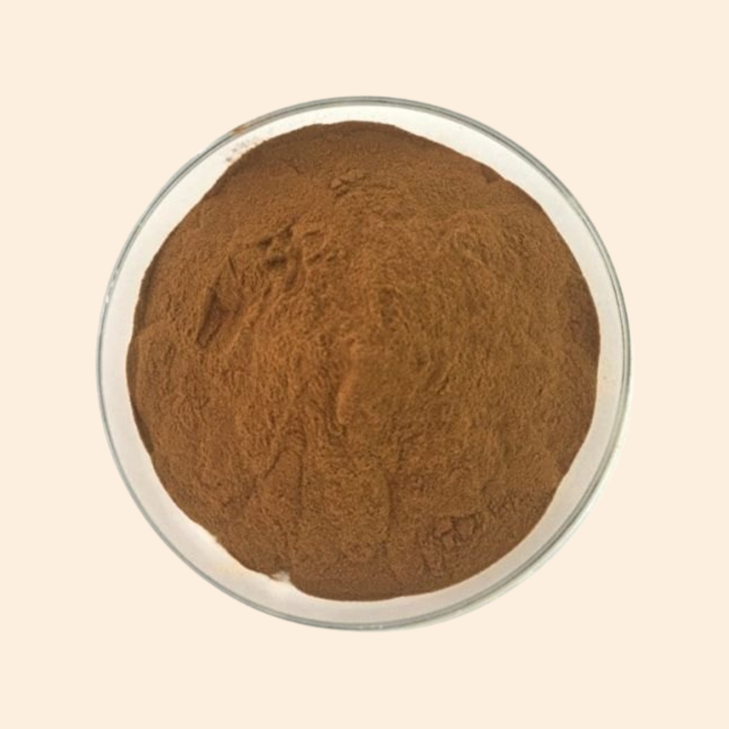Shoprythm Dry Extracts Bharangi Mool Dry Extract