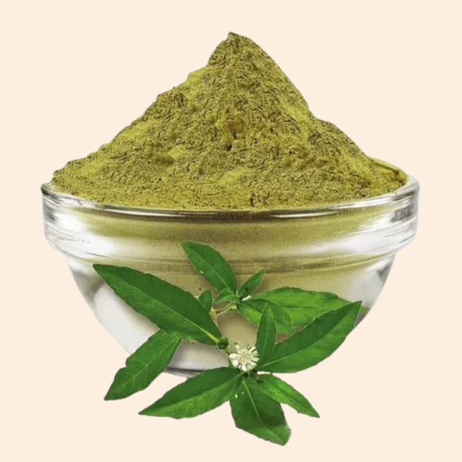 Shoprythm Dry Extracts Bhringraj Dry Extract
