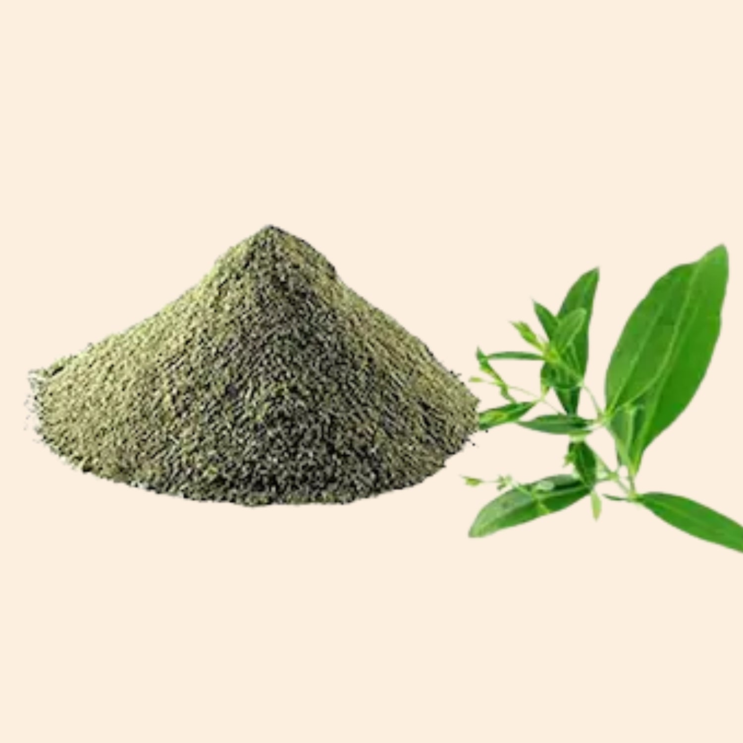 Shoprythm Dry Extracts Chireta Dry Extract