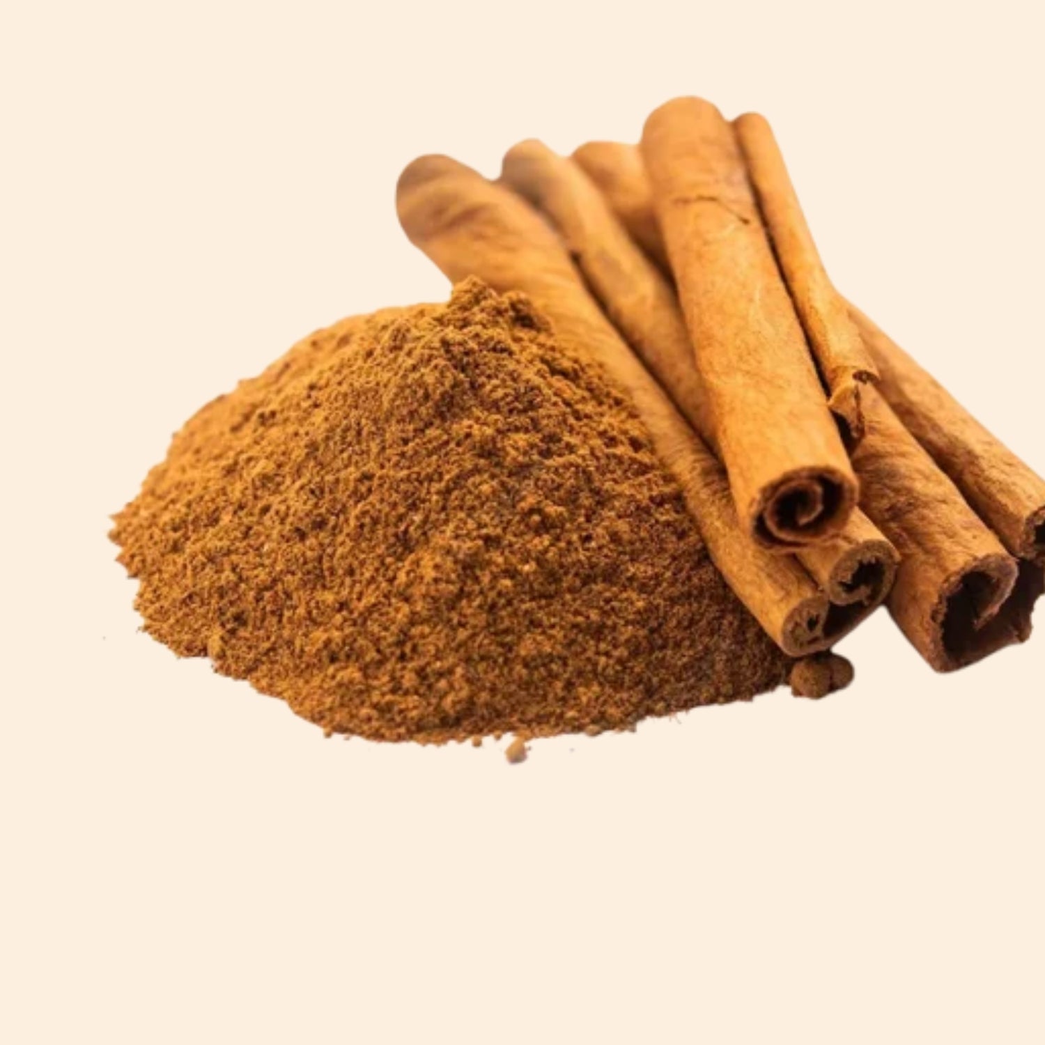 Shoprythm Dry Extracts Dalchini Dry Extract