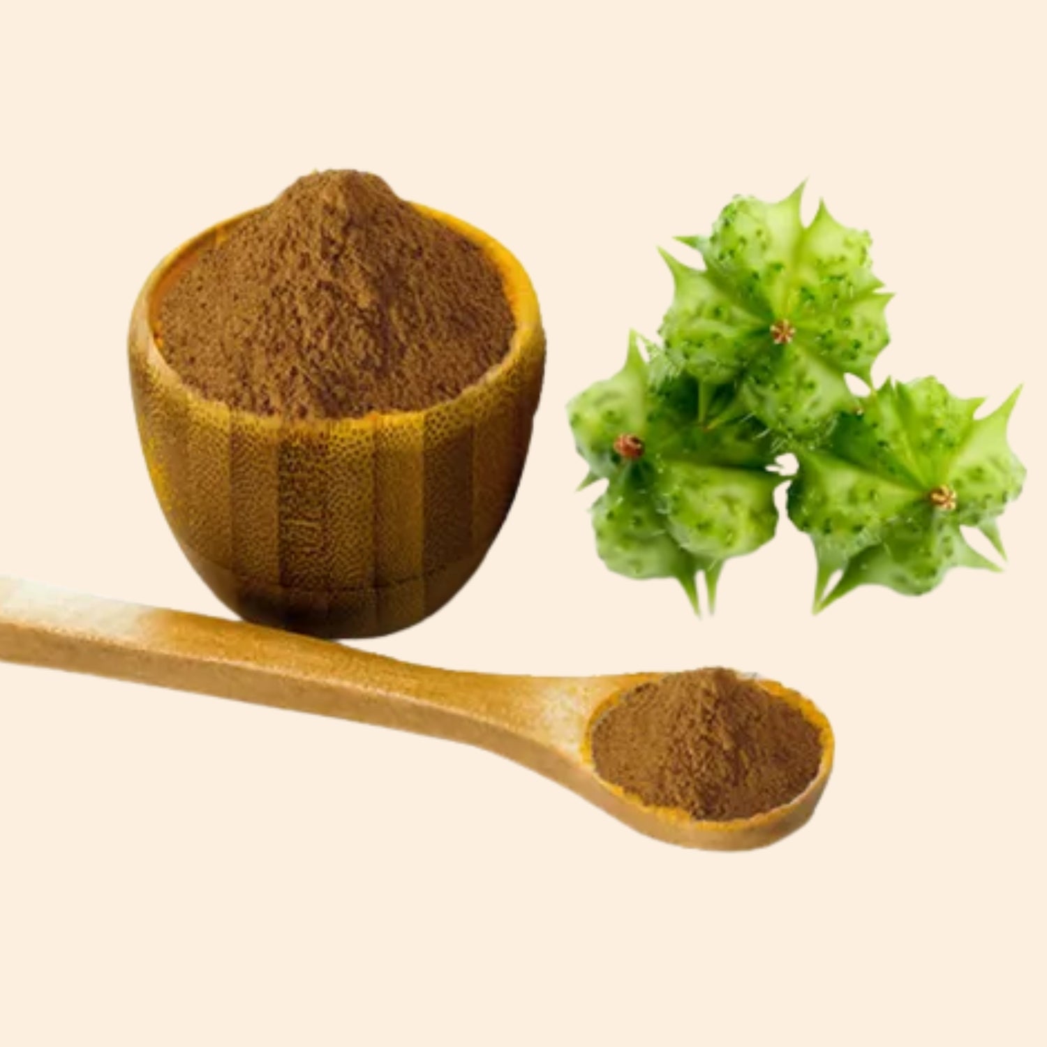 Shoprythm Dry Extracts Gokhru Dry Extract